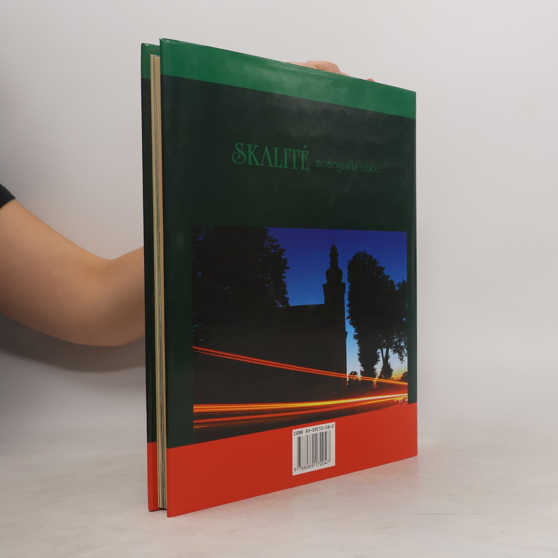 Autorenkollektiv Skalité - monografia obce