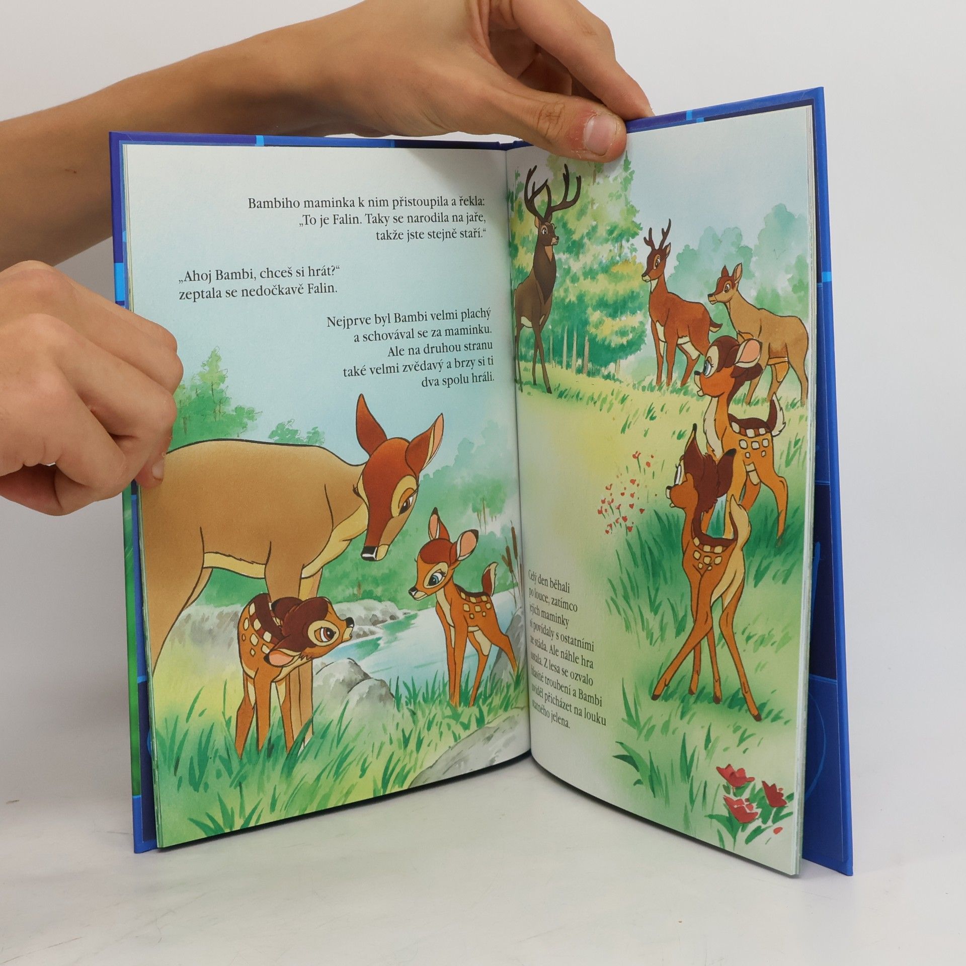 Kolektiv autorů Kouzelné pohádky 6. Bambi