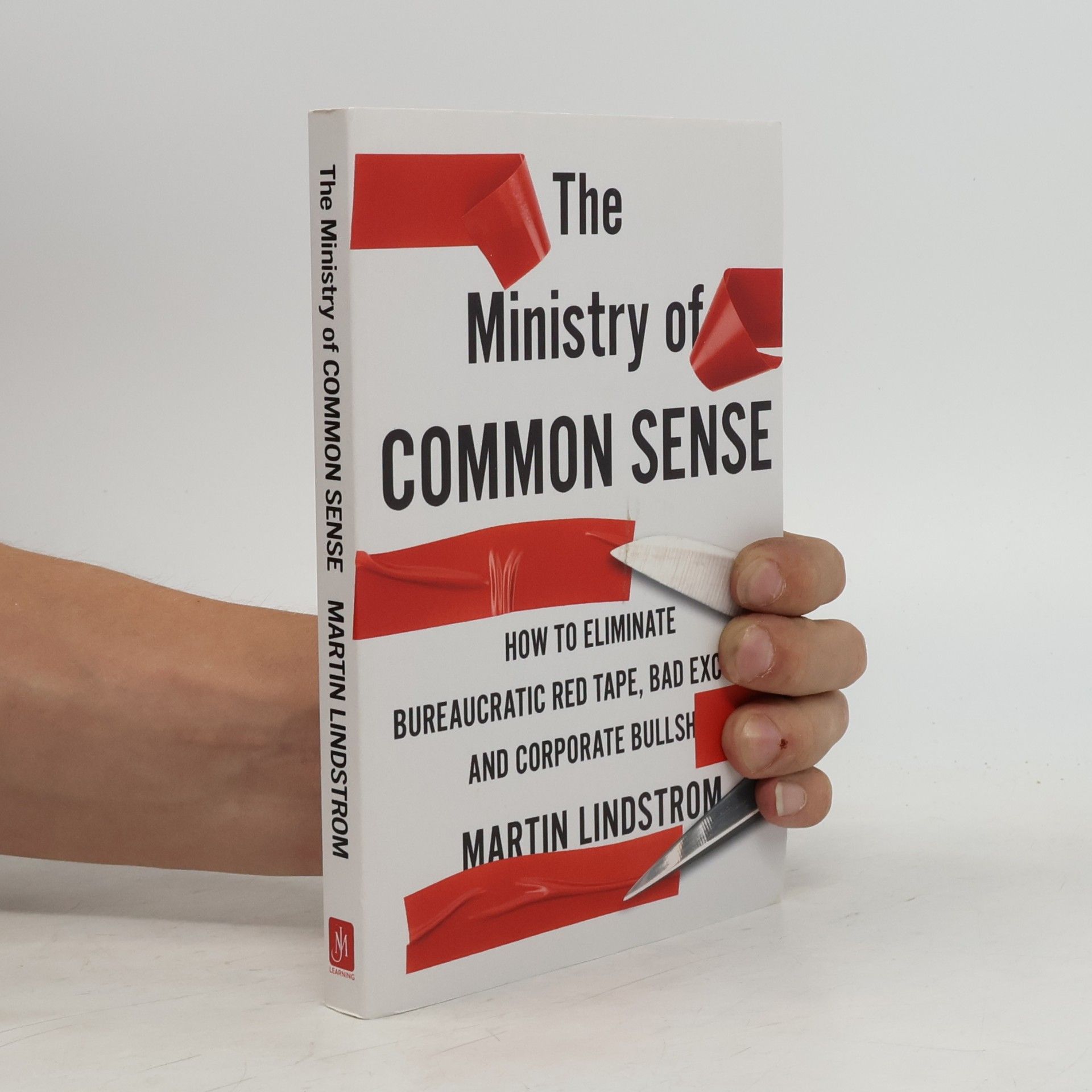 Martin Lindstrom The Ministry of Common Sense