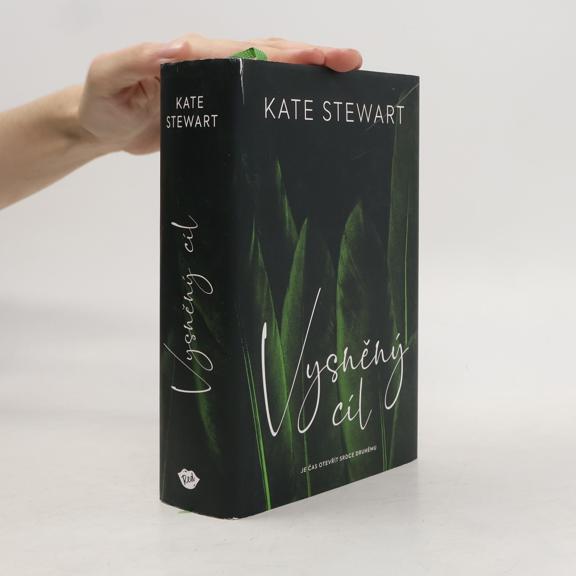 Kate Stewart Vysněný cíl. Kniha třetí