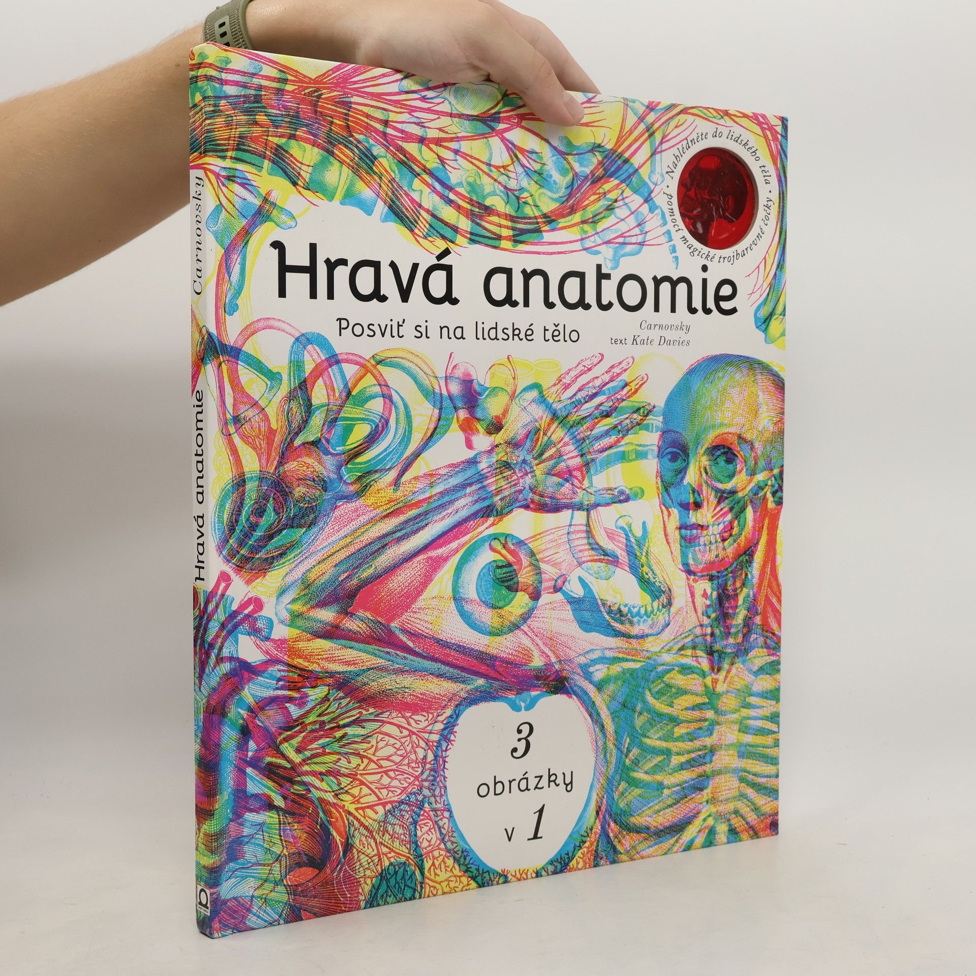 Katie Davies Hravá anatomie - posviť si na lidské tělo