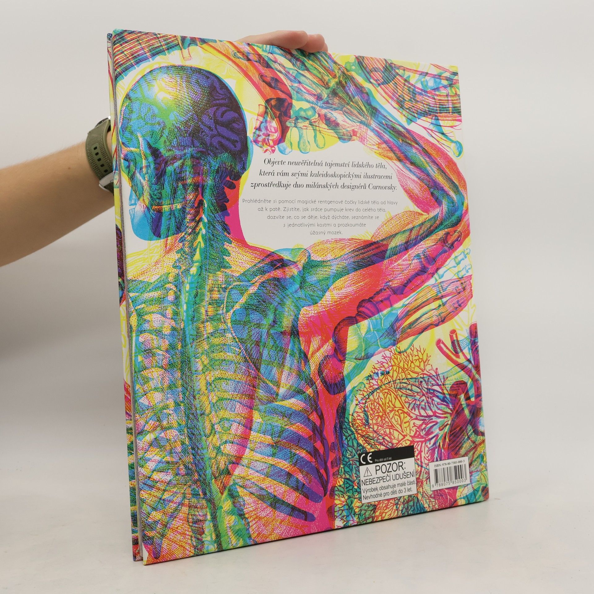 Katie Davies Hravá anatomie - posviť si na lidské tělo