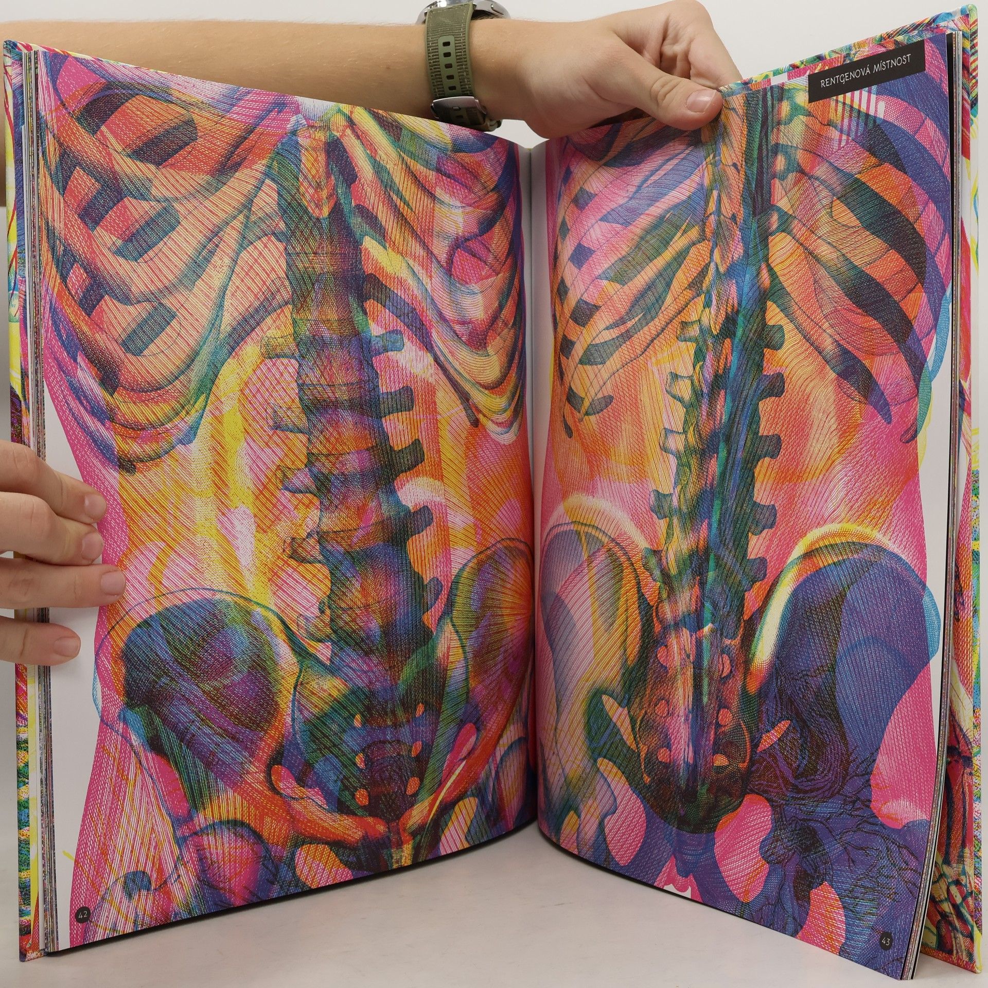Katie Davies Hravá anatomie - posviť si na lidské tělo