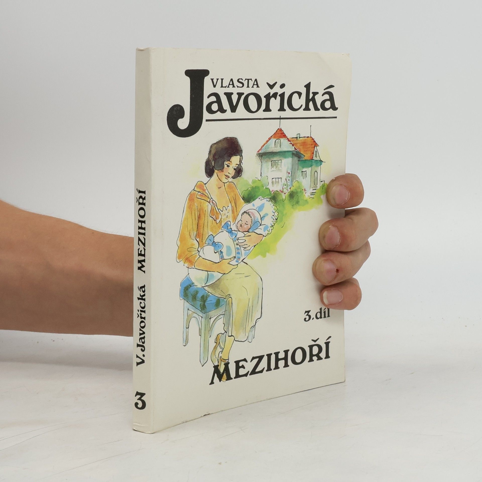 Mezihoří 3