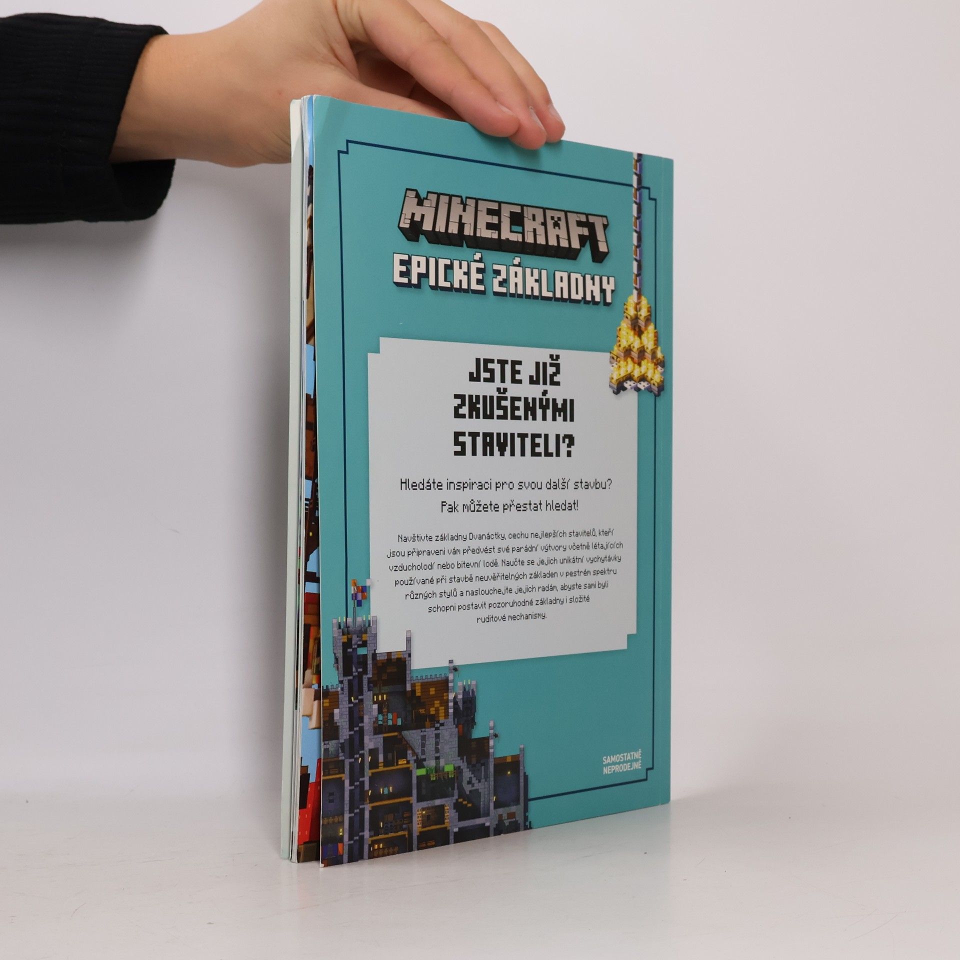 Autorenkollektiv Minecraft. Průzkumnická kolekce