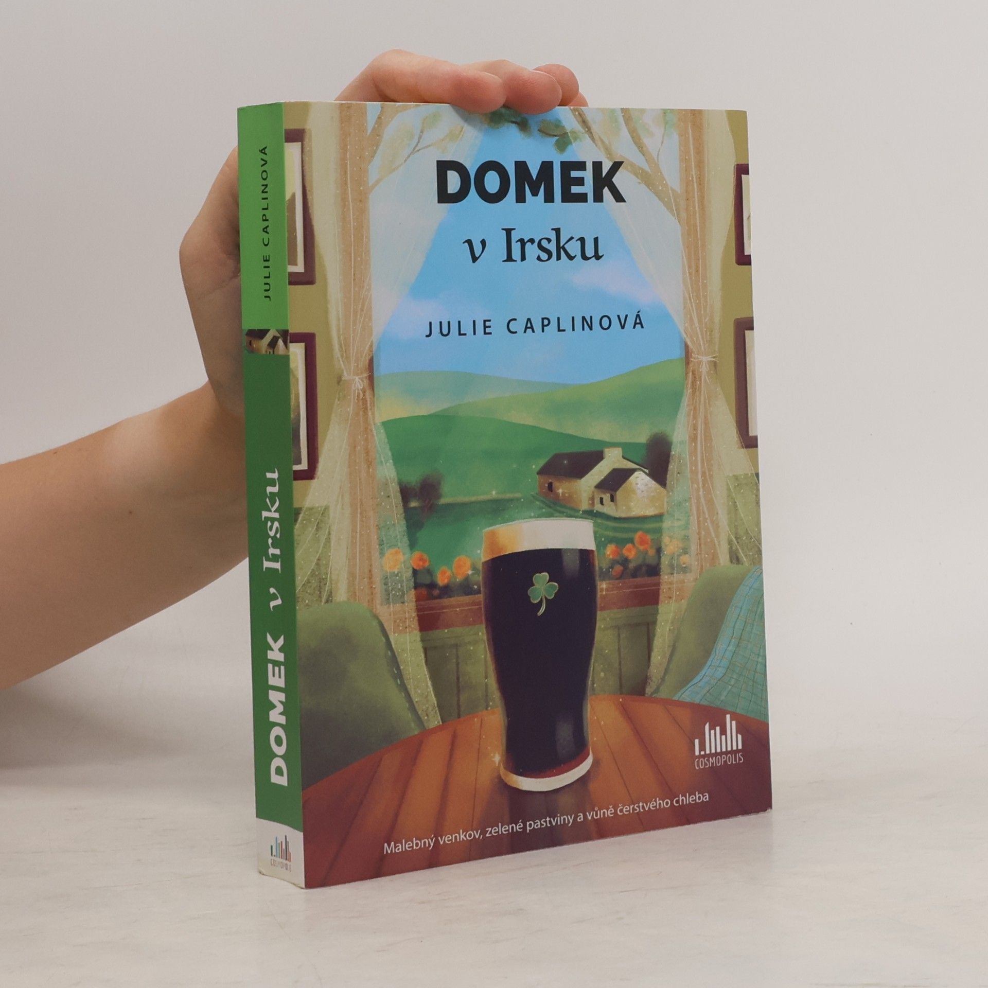 Julie Caplin Domek v Irsku