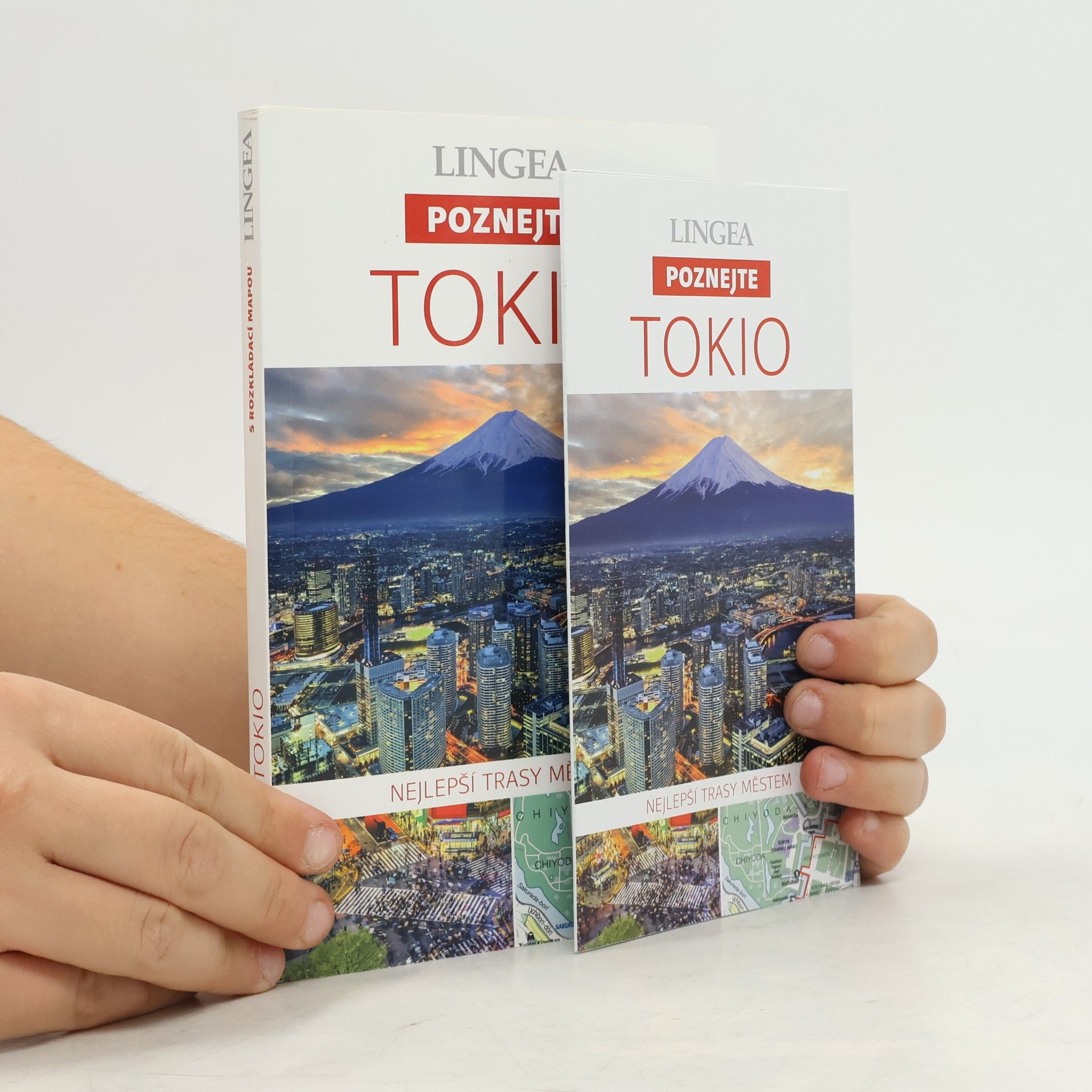 Autores varios Tokio