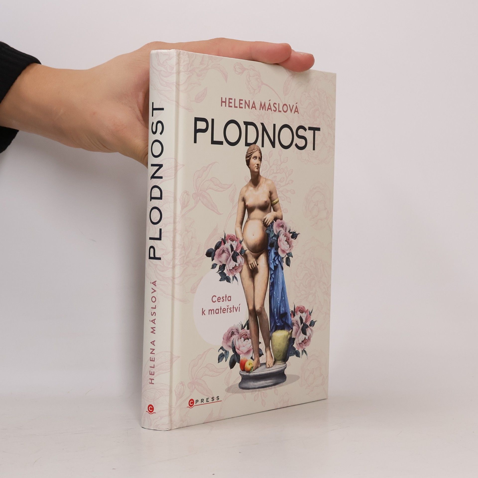 Helena Máslová Plodnost : cesta k mateřství