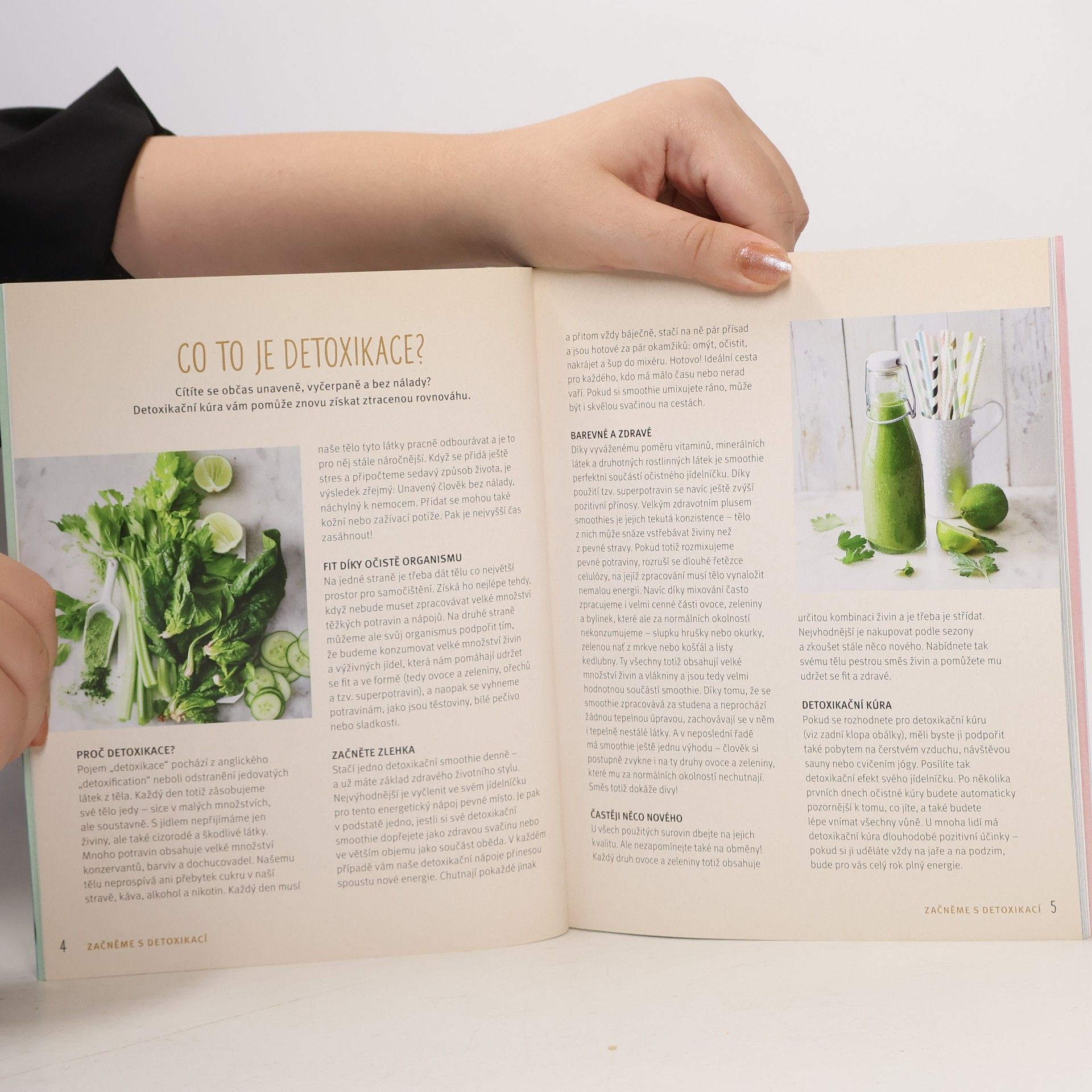 Nicole Staabs Detoxikační smoothies - Zdravé nápoje pro očistu organismu