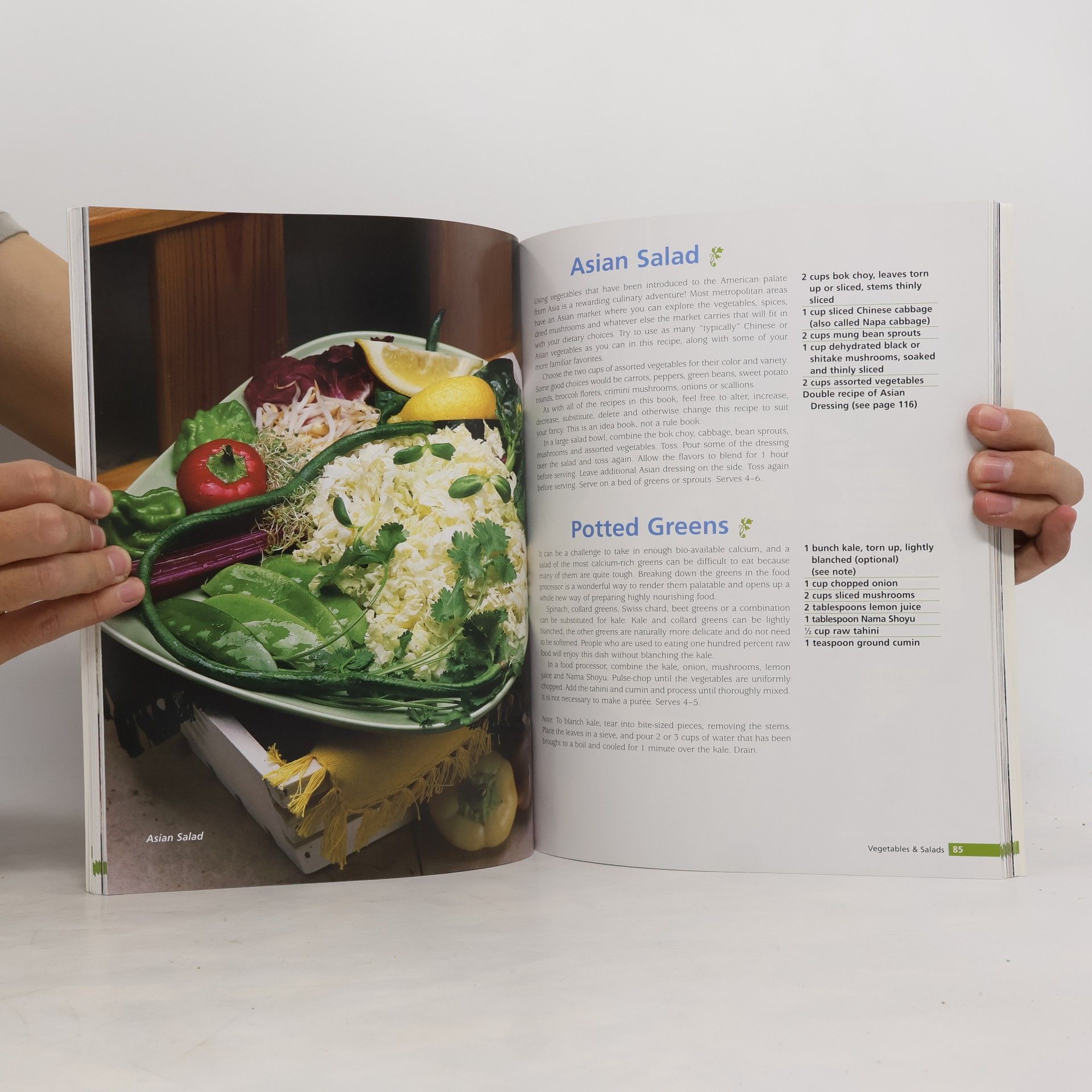 Nomi Shannon The Raw Gourmet