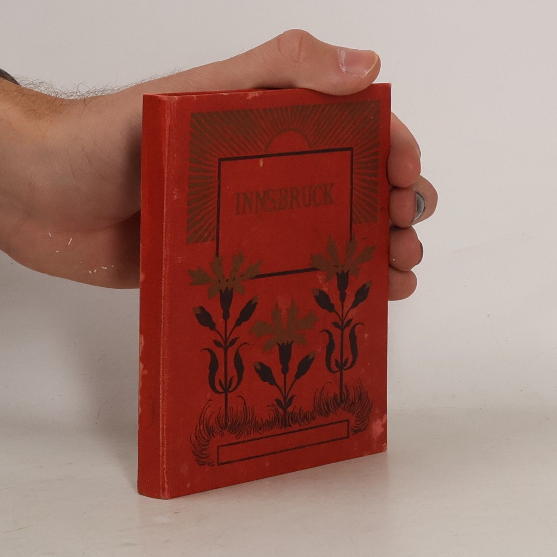 Collectif d'auteurs INNSBRUCK