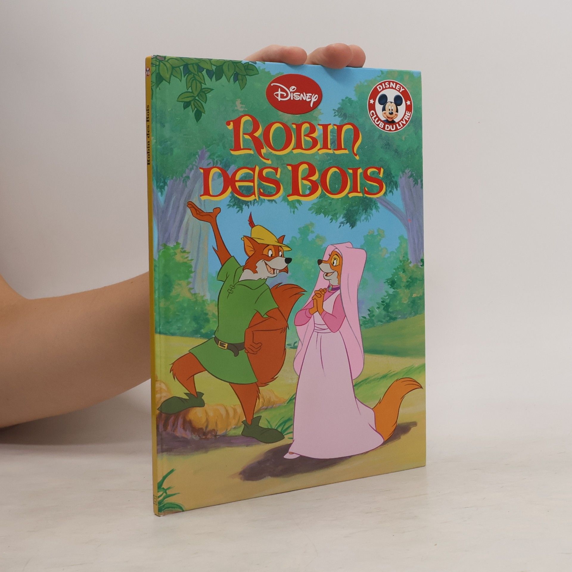 Kolektiv autorů Robin des Bois