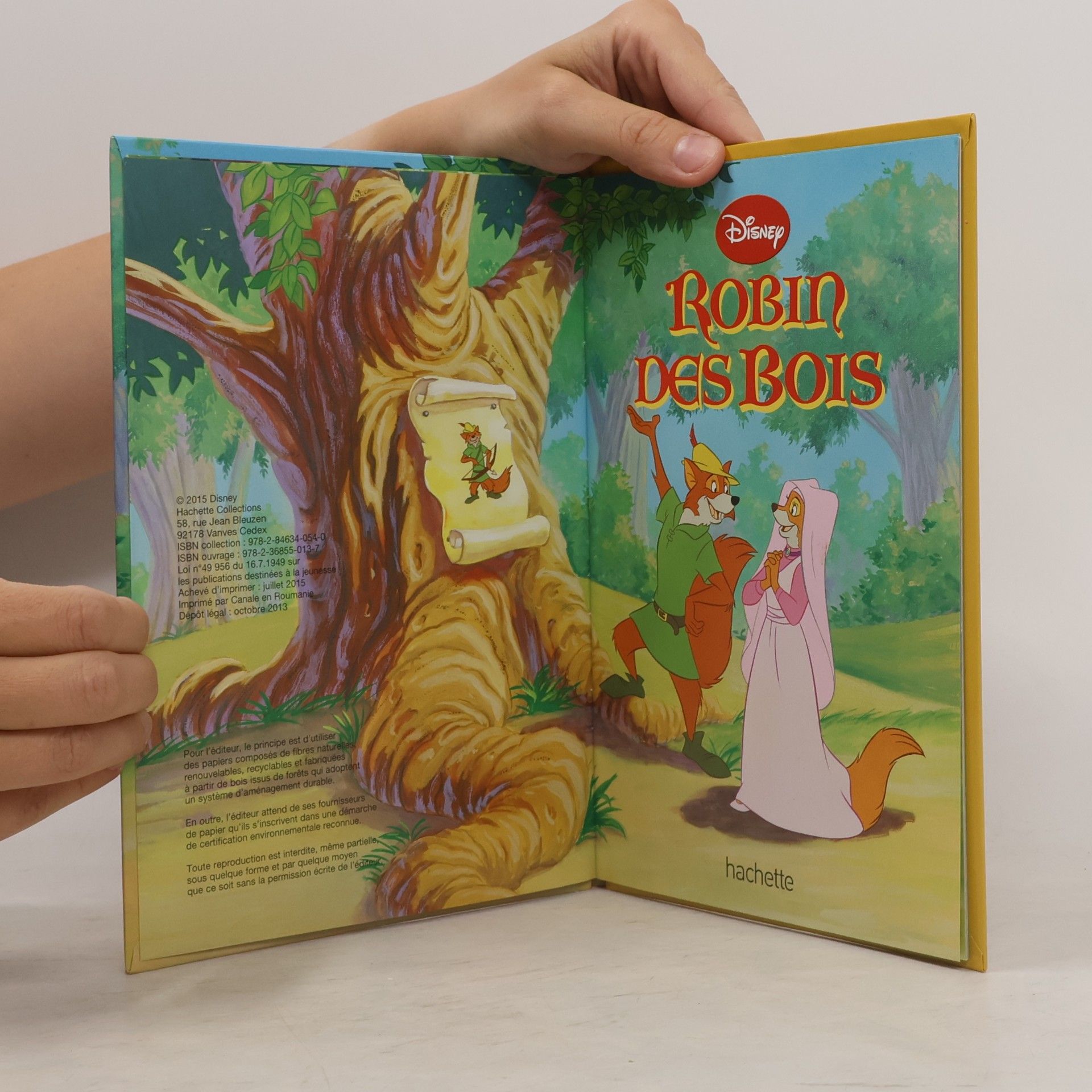 Kolektiv autorů Robin des Bois