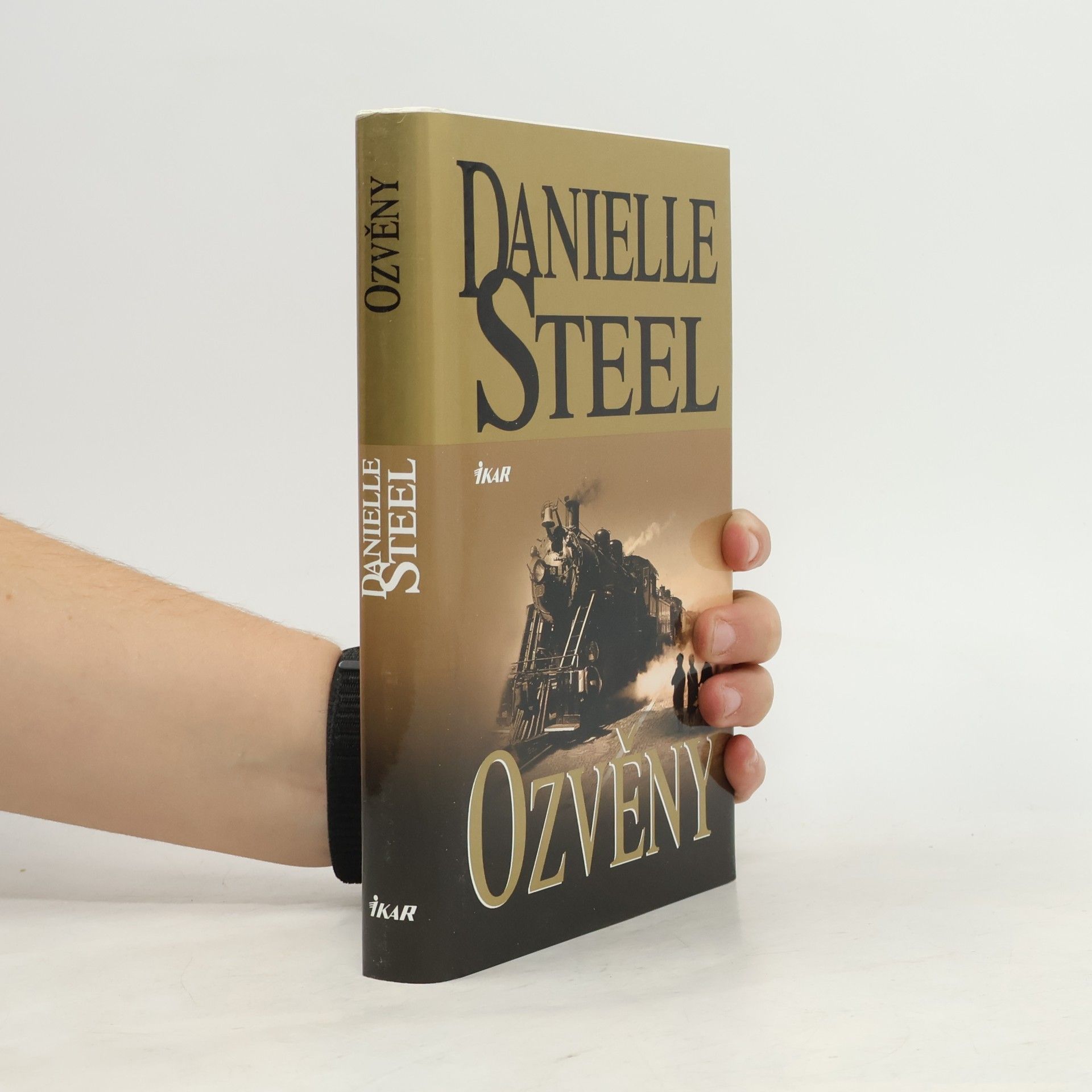 Danielle Steel Ozvěny