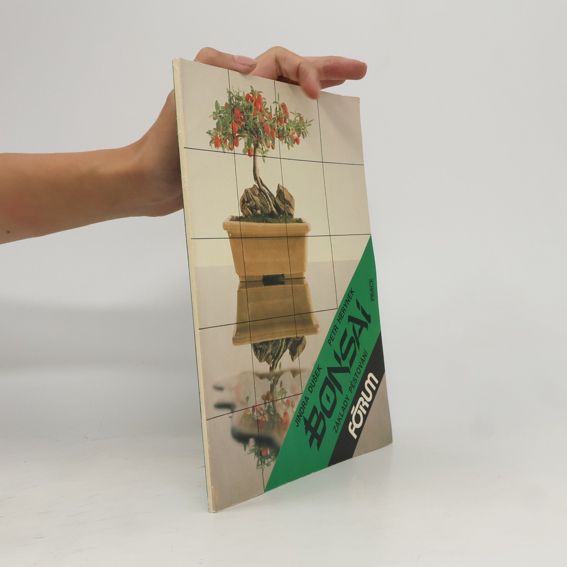 Bonsai. Základy pěstování