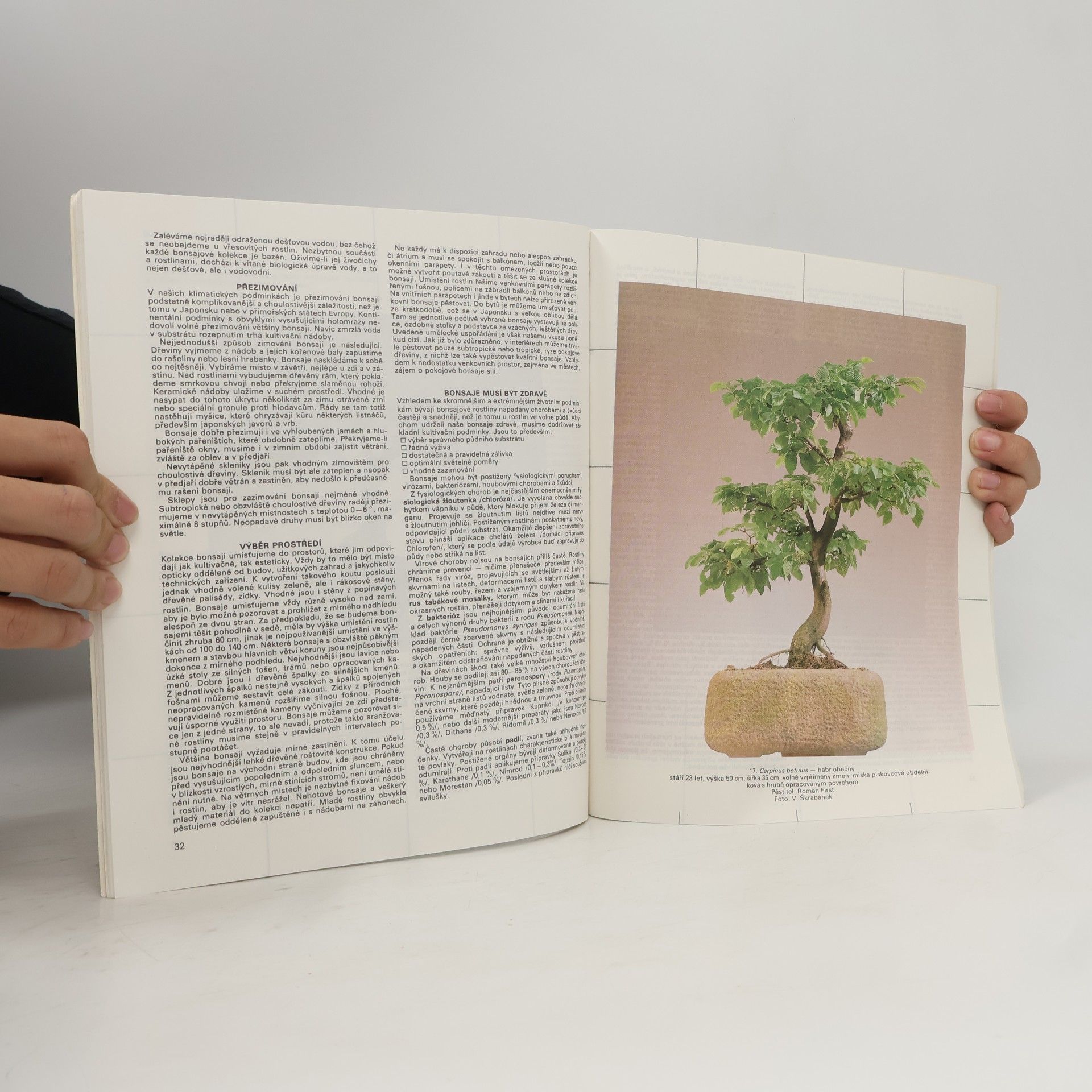 Petr Herynek Bonsai. Základy pěstování