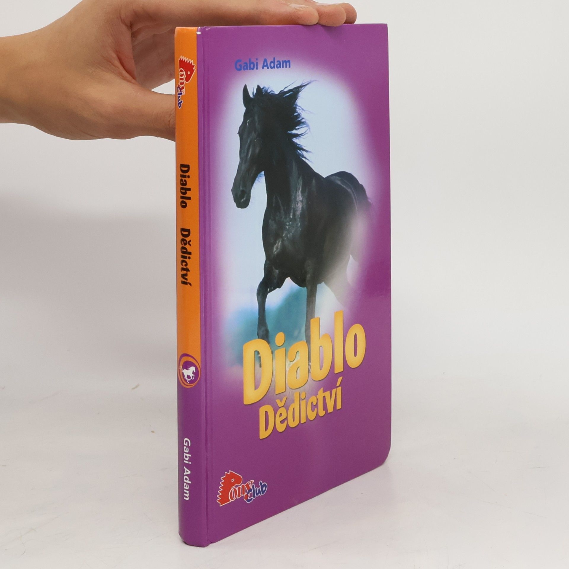 Gabi Adam Diablo. Dědictví