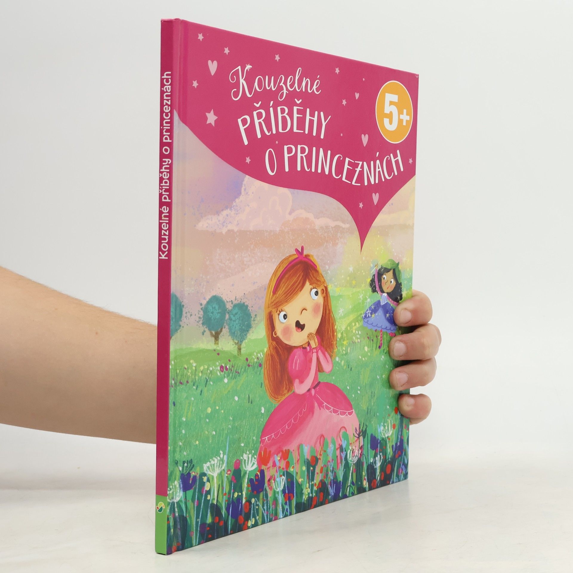 Luise Holthausen Kouzelné příběhy o princeznách