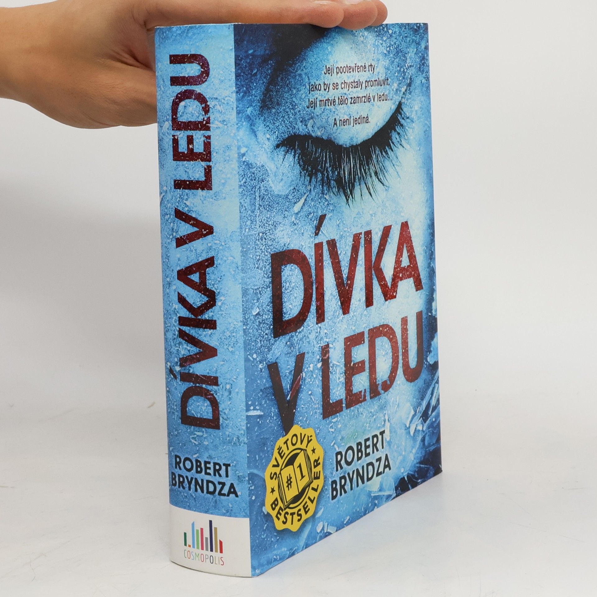 Robert Bryndza Dívka v ledu