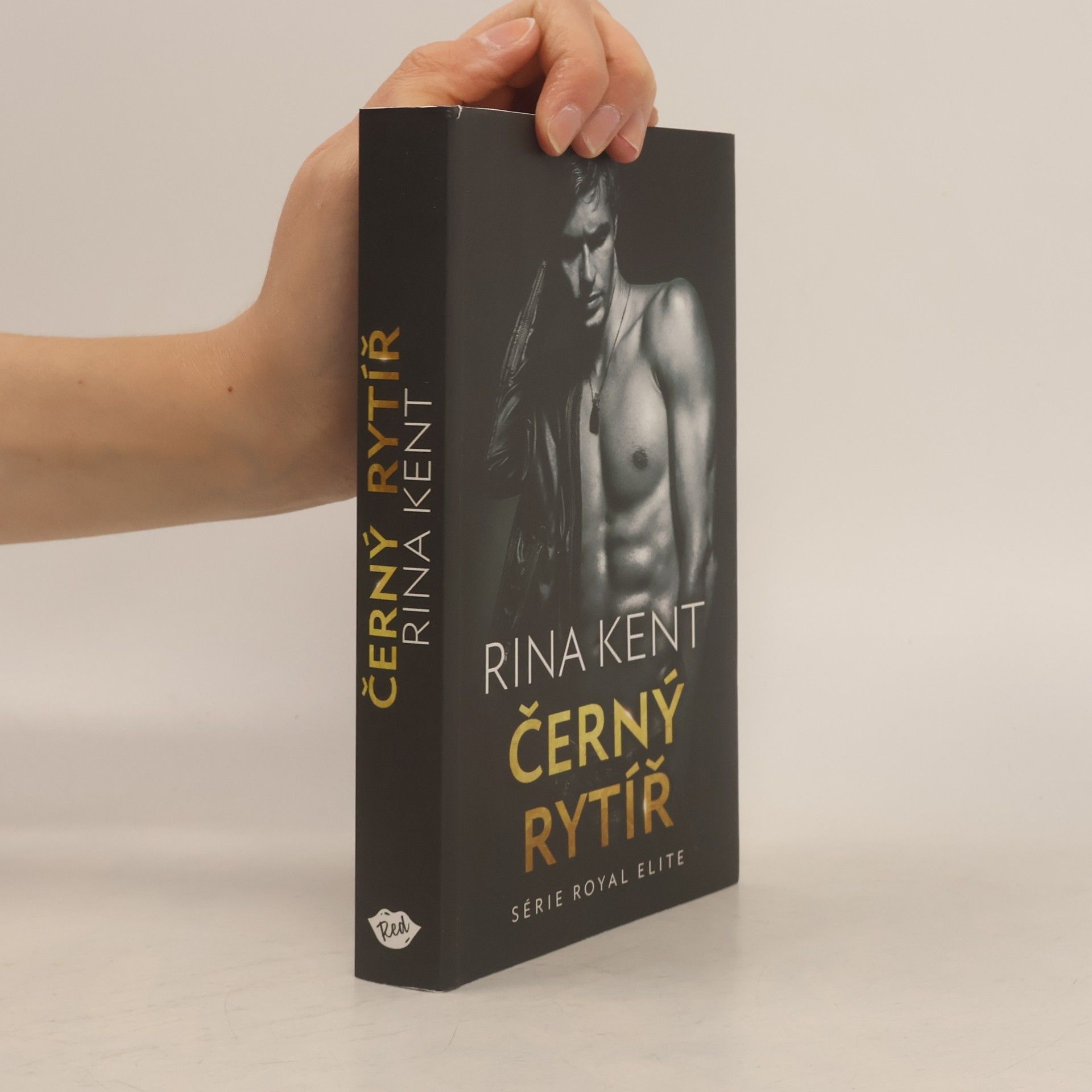 Rina Kent Černý rytíř