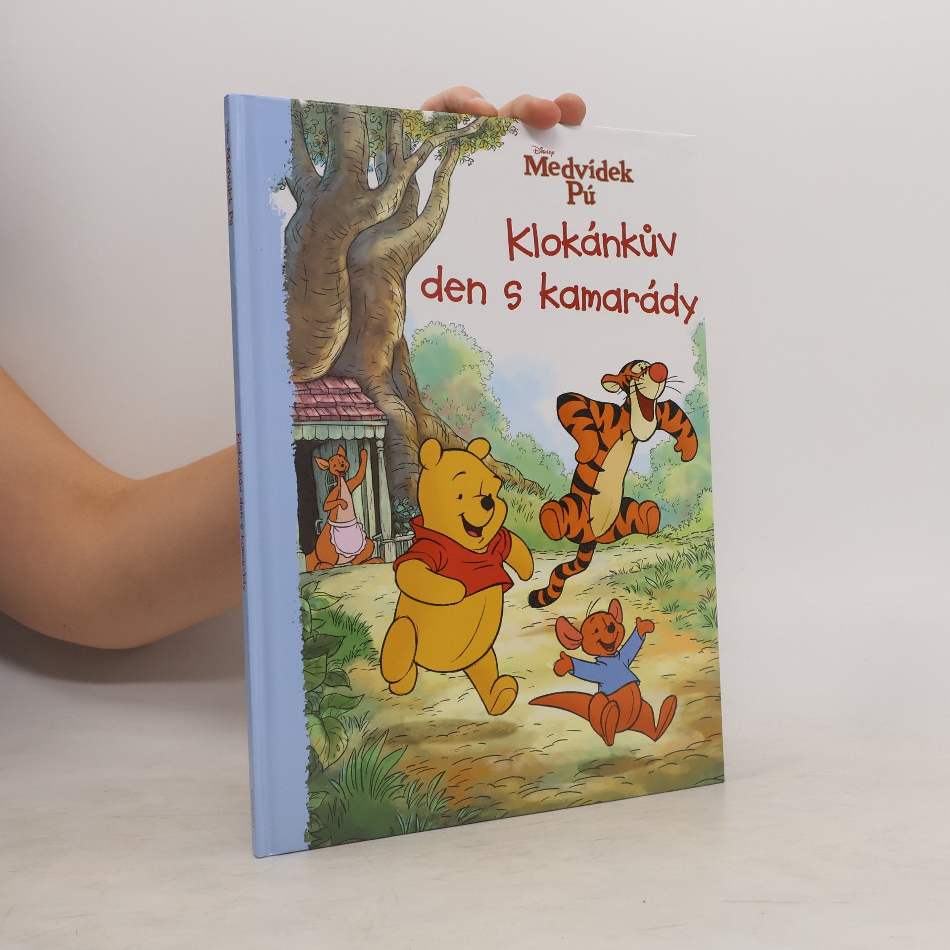 Catherine Hapka Medvídek Pú - Klokánkův den s kamarády