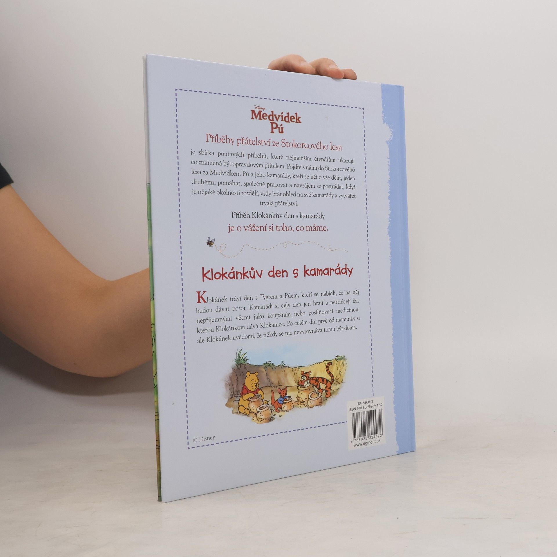 Catherine Hapka Medvídek Pú - Klokánkův den s kamarády