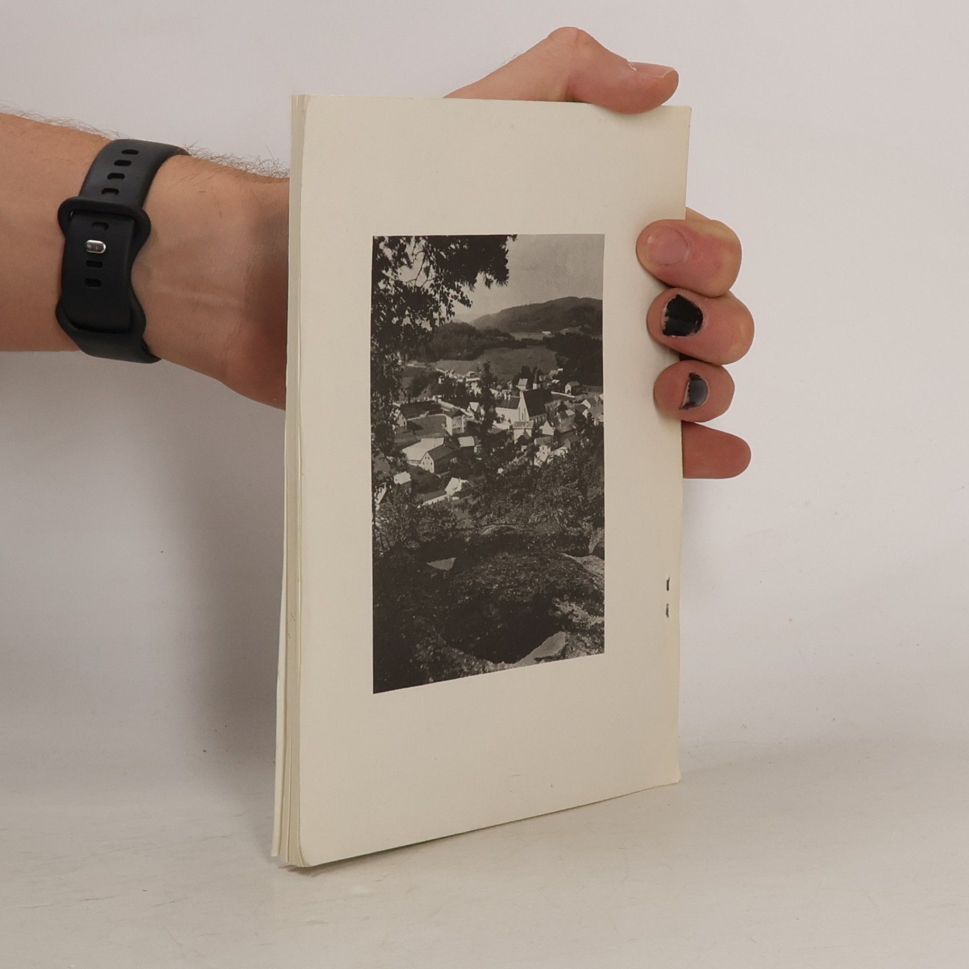 Othmar K. M. Zaubek Wallfahrtsheiligtümer des südwestlichen Waldviertels
