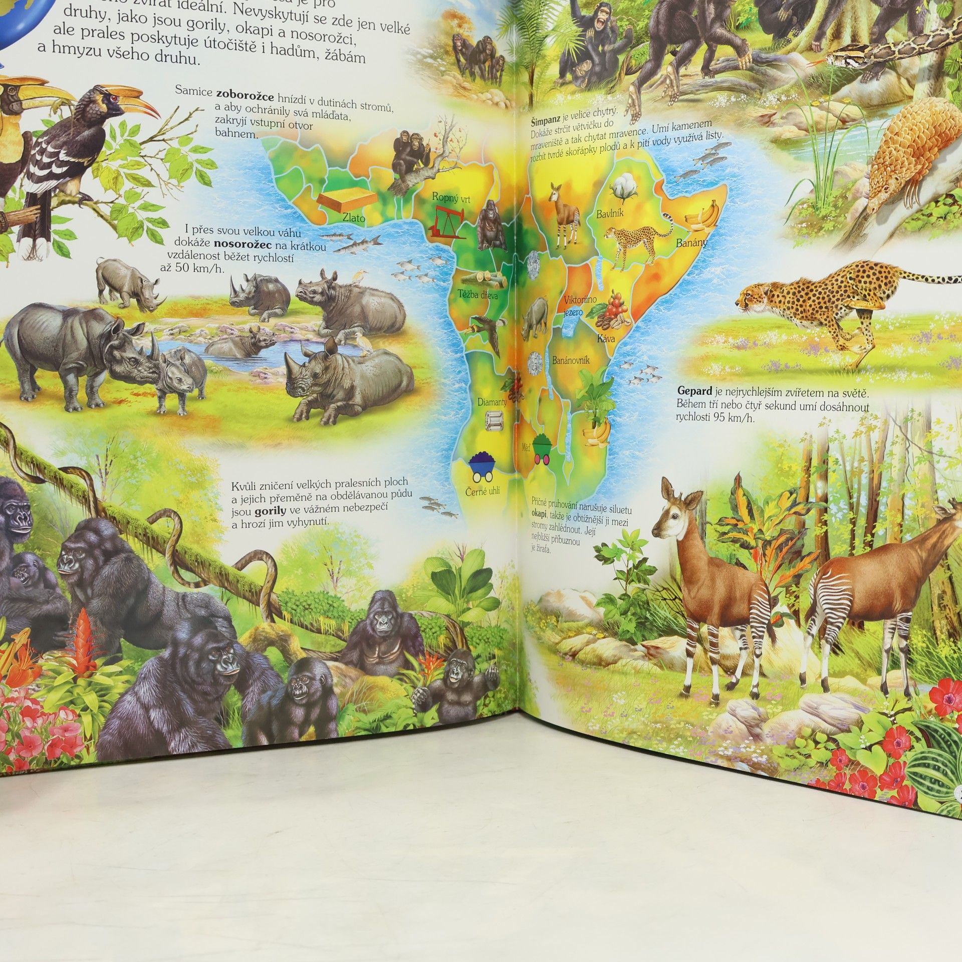Francisco Arredondo Školákův ilustrovaný atlas zvířat