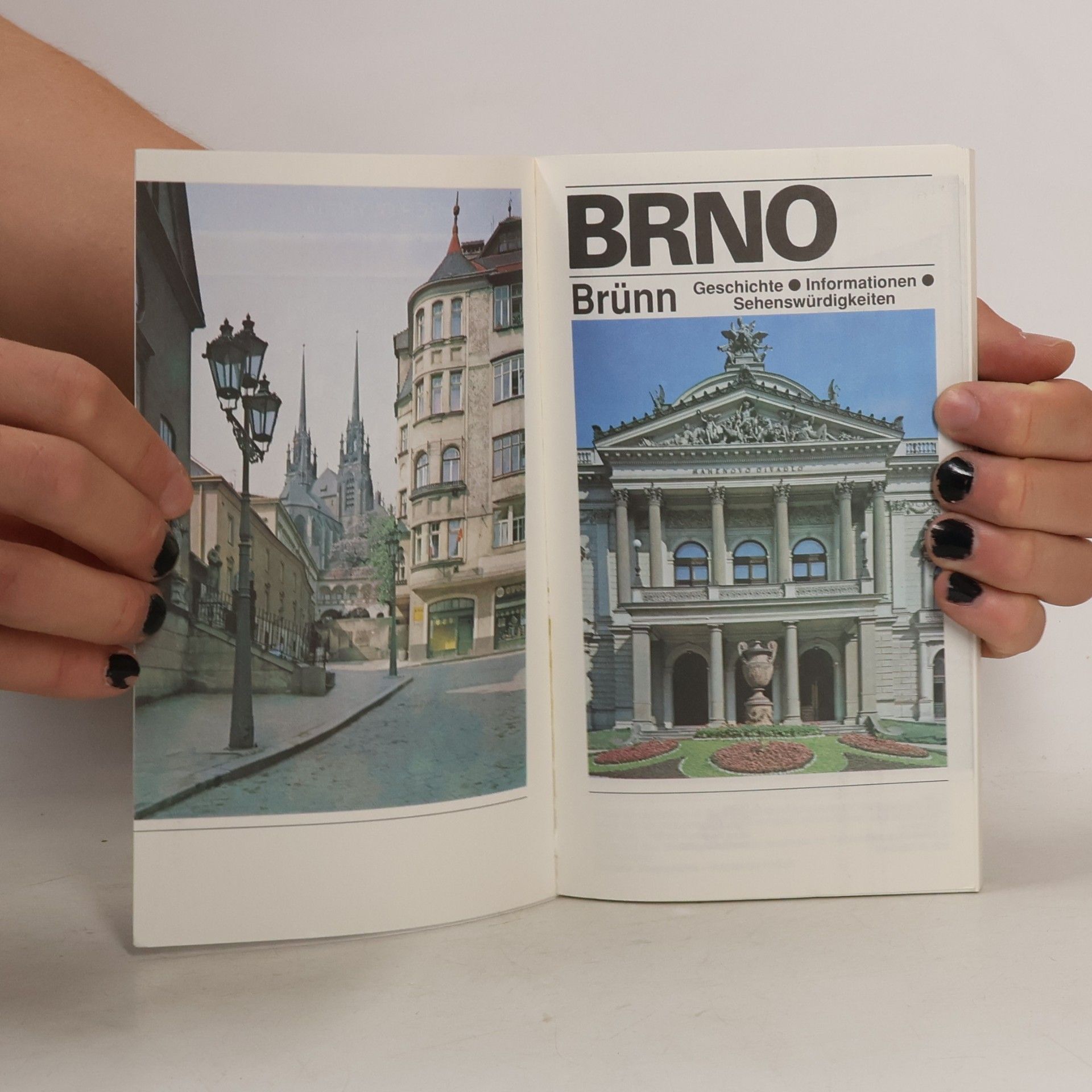 kolektiv Brno