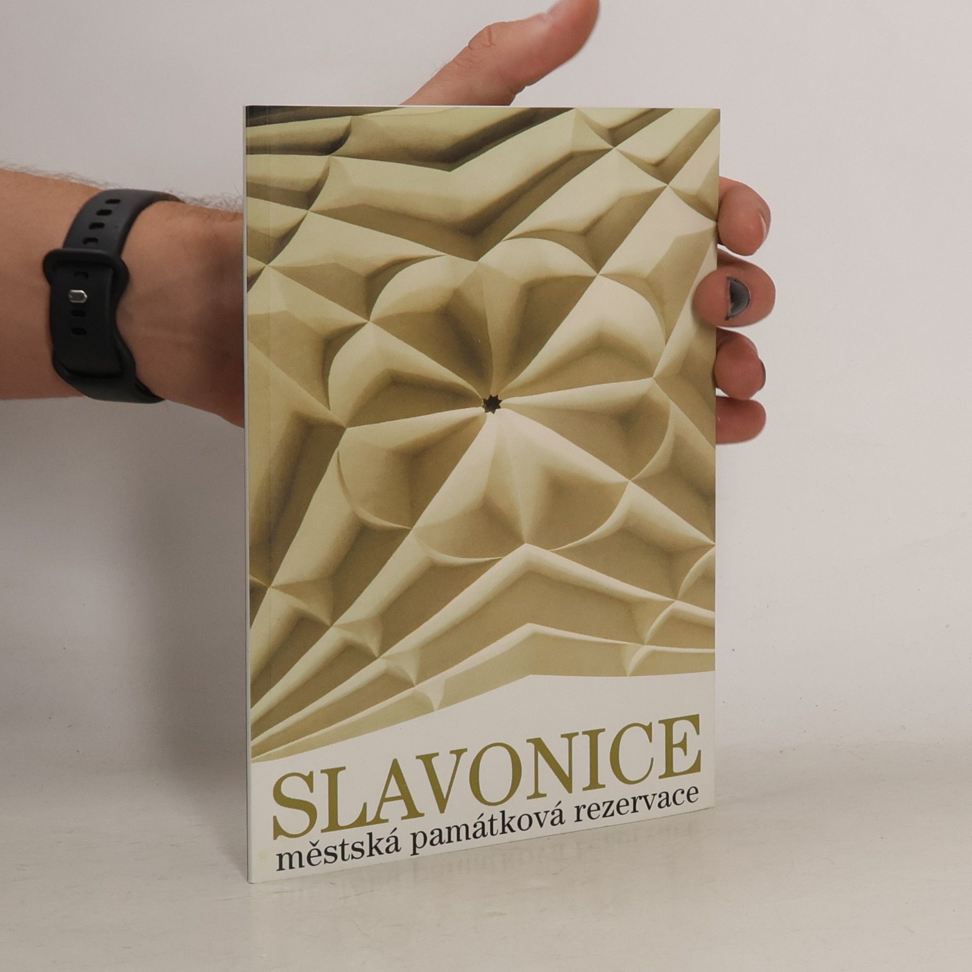 Richard Kubánek Slavonice