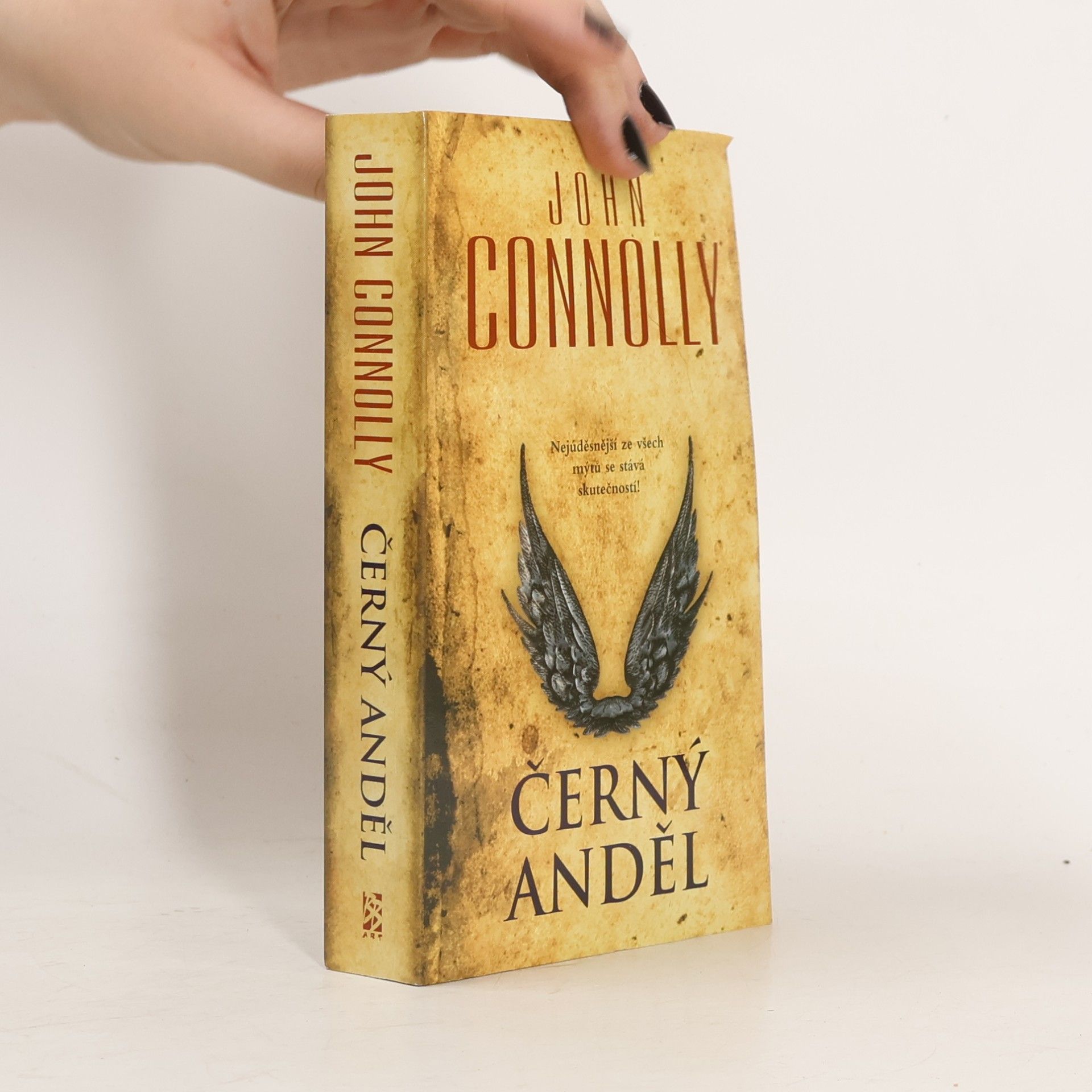 John Connolly Černý anděl