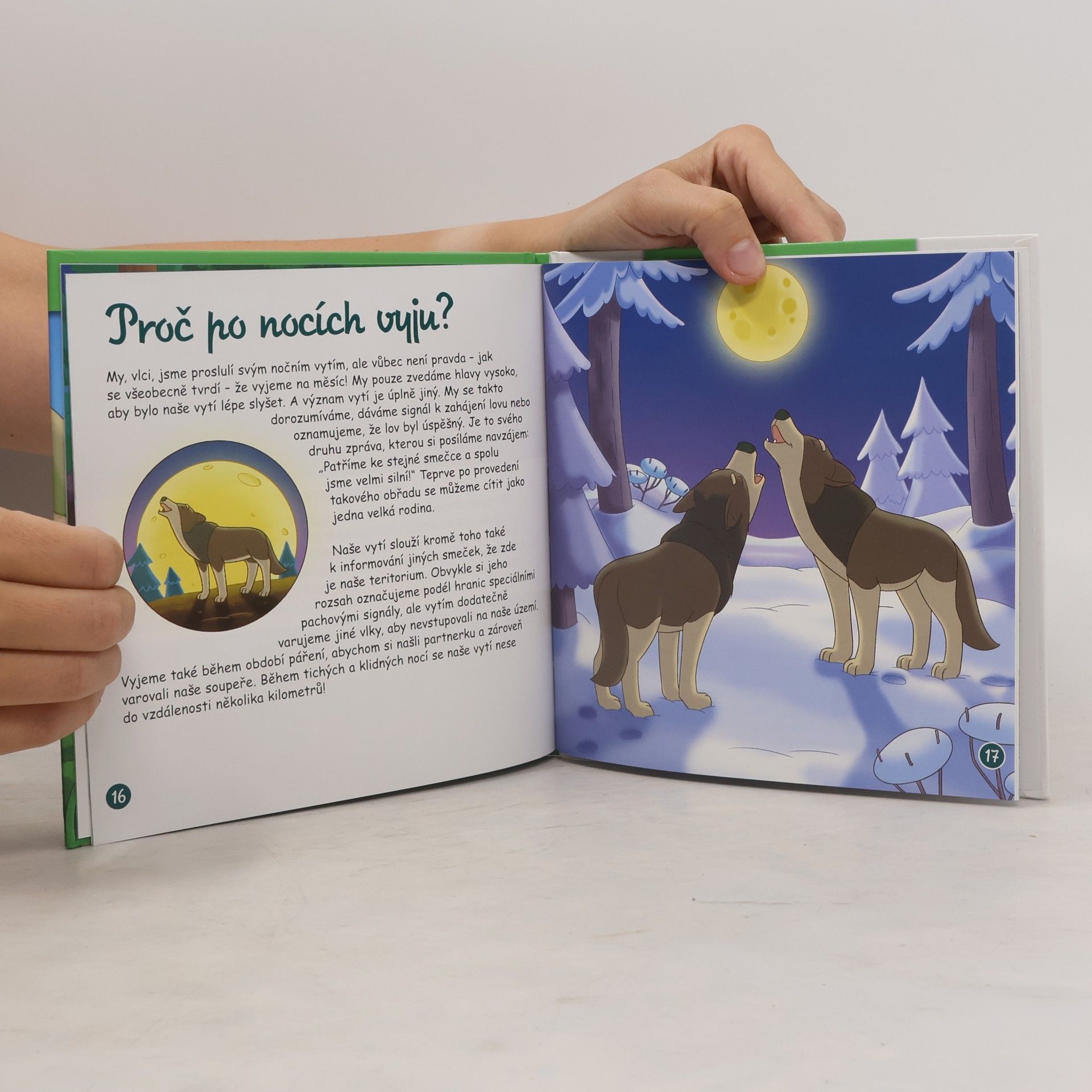 Autorenkollektiv Bydlím v lese 3. Vlk