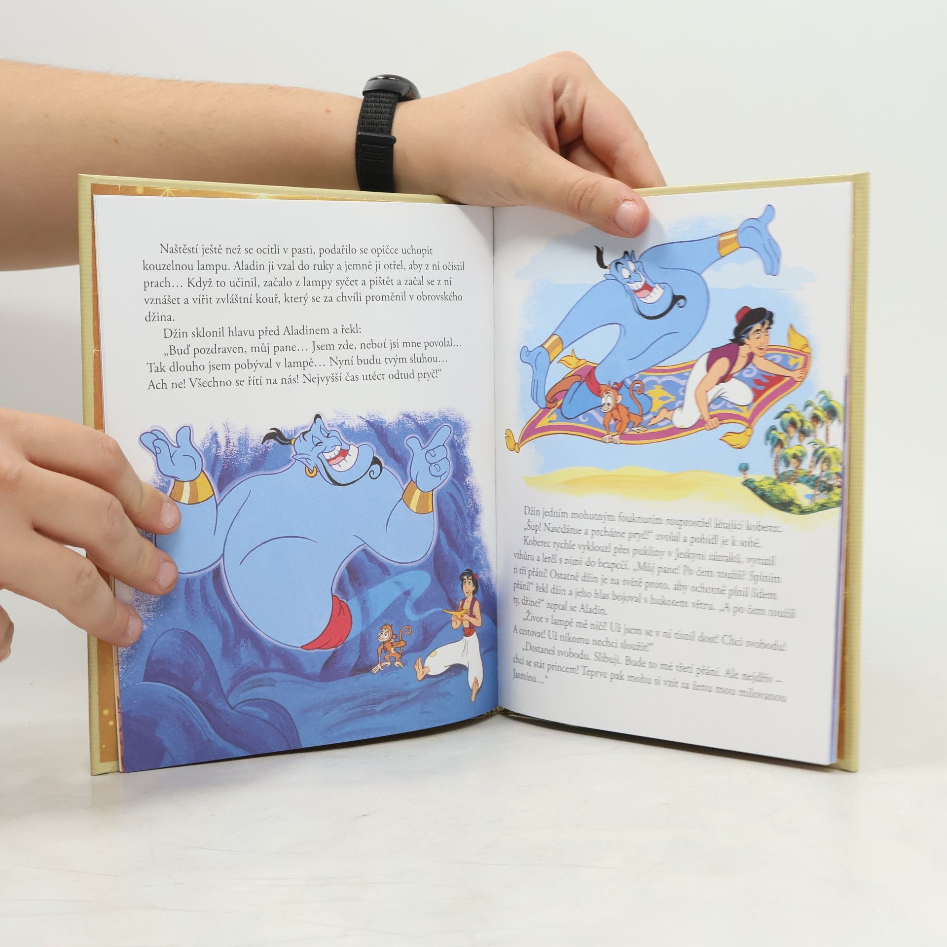 Auteurscollectief Zlatá sbírka pohádek 6. Aladin