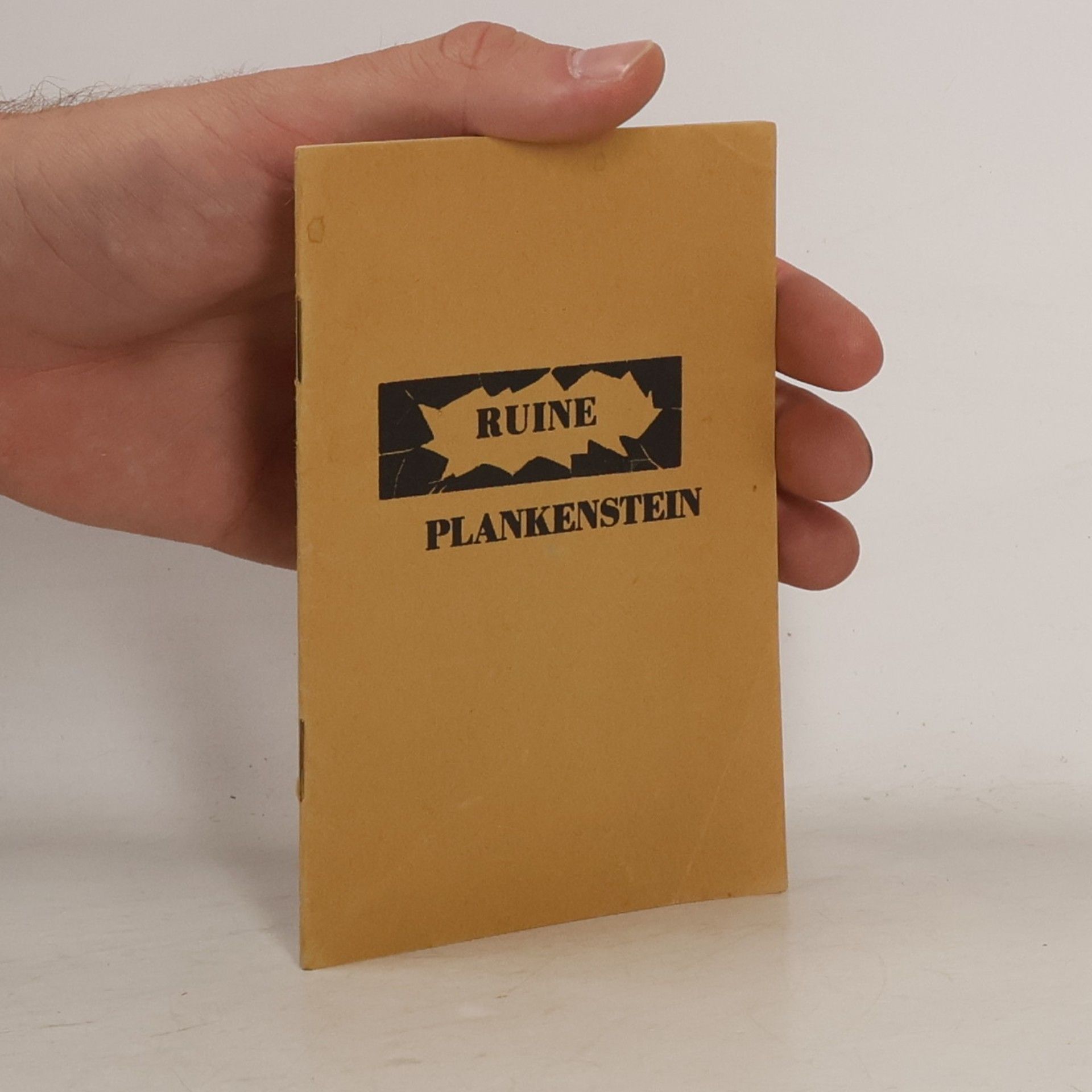 kolektiv Ruine Plankenstein
