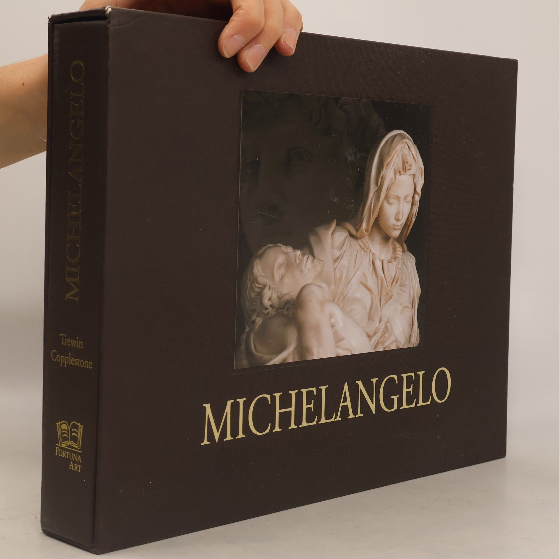 Trewin Copplestone Michelangelo