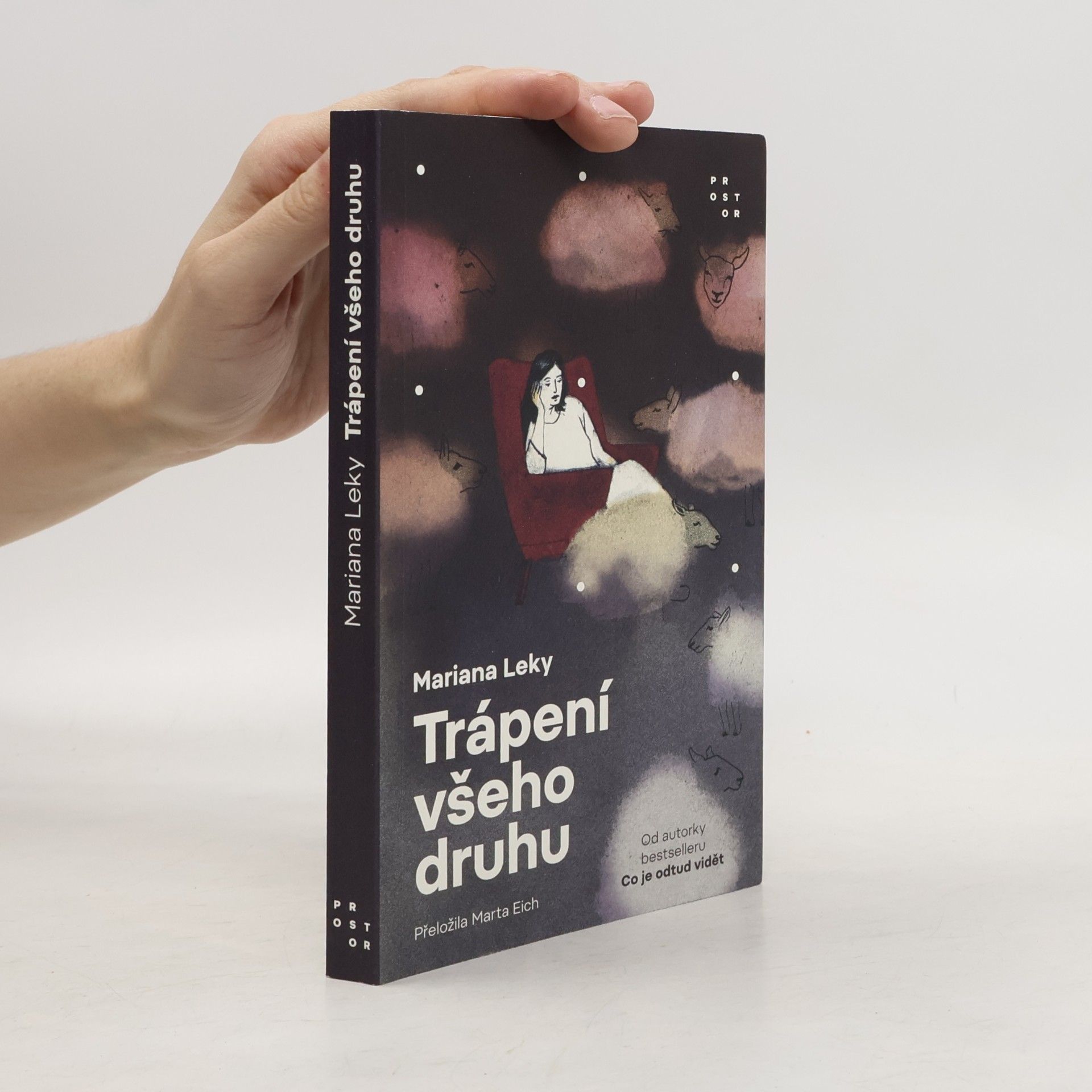 Marta Eich Trápení všeho druhu
