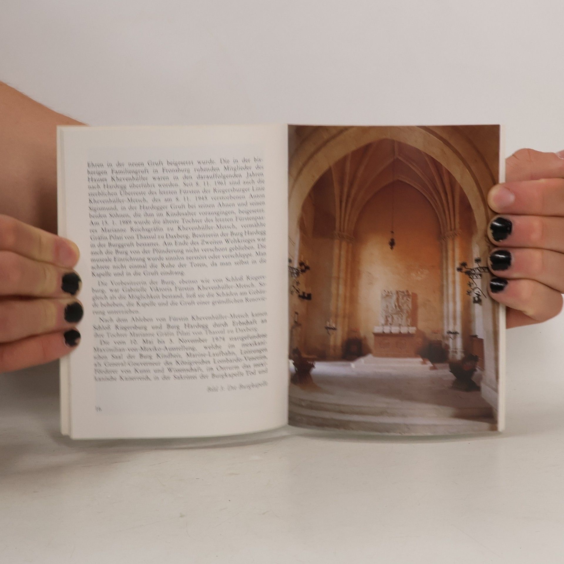 Collectif d'auteurs Burg Hardegg