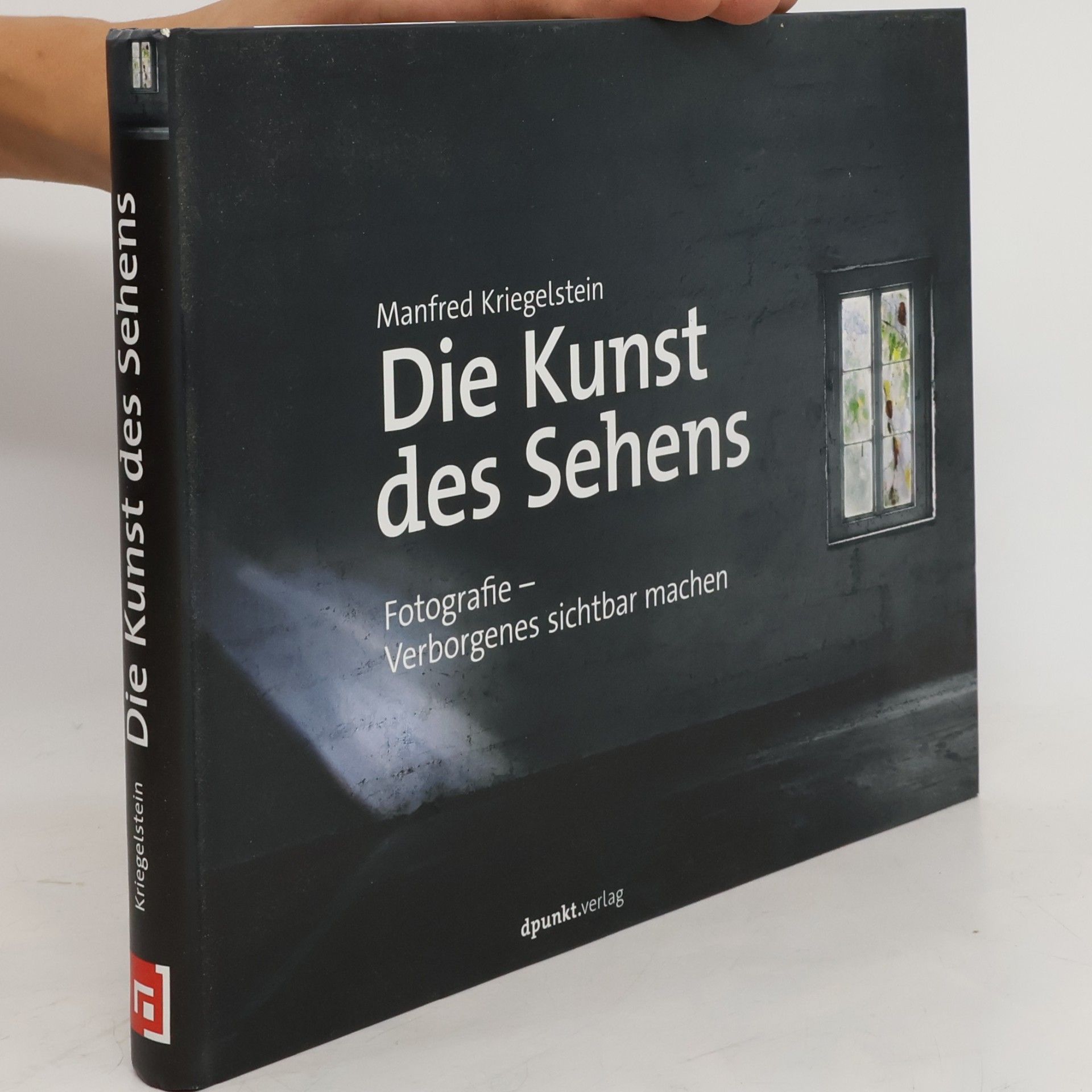 Manfred Kriegelstein Die Kunst des Sehens
