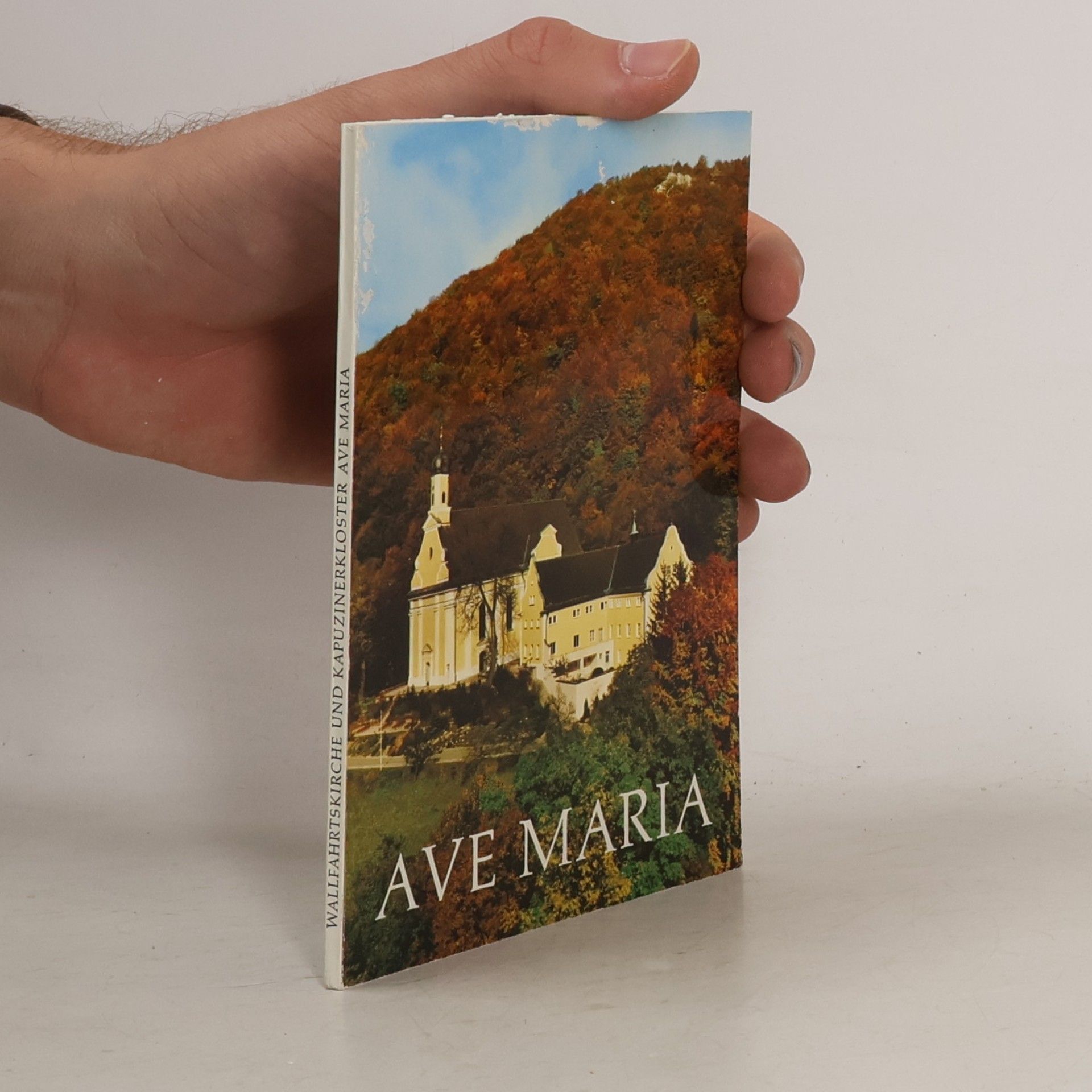kolektiv Wallfahrtskirche und Kapuzinerkloster Ave Maria Deggingen