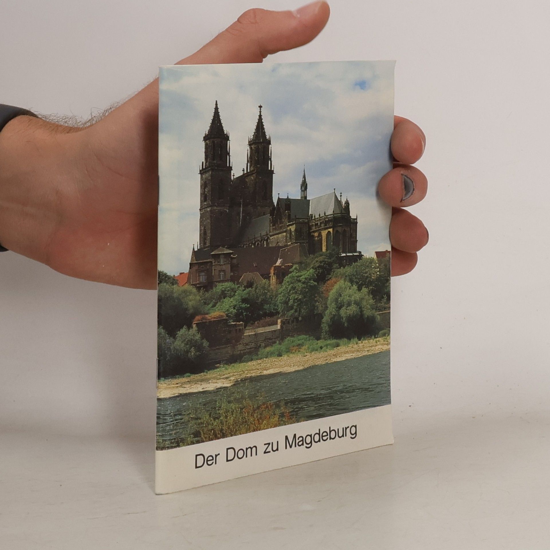 Autorenkollektiv Der Dom zu Magdeburg