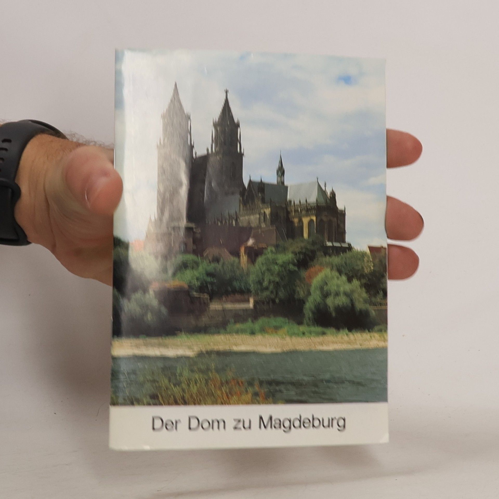 Autorenkollektiv Der Dom zu Magdeburg
