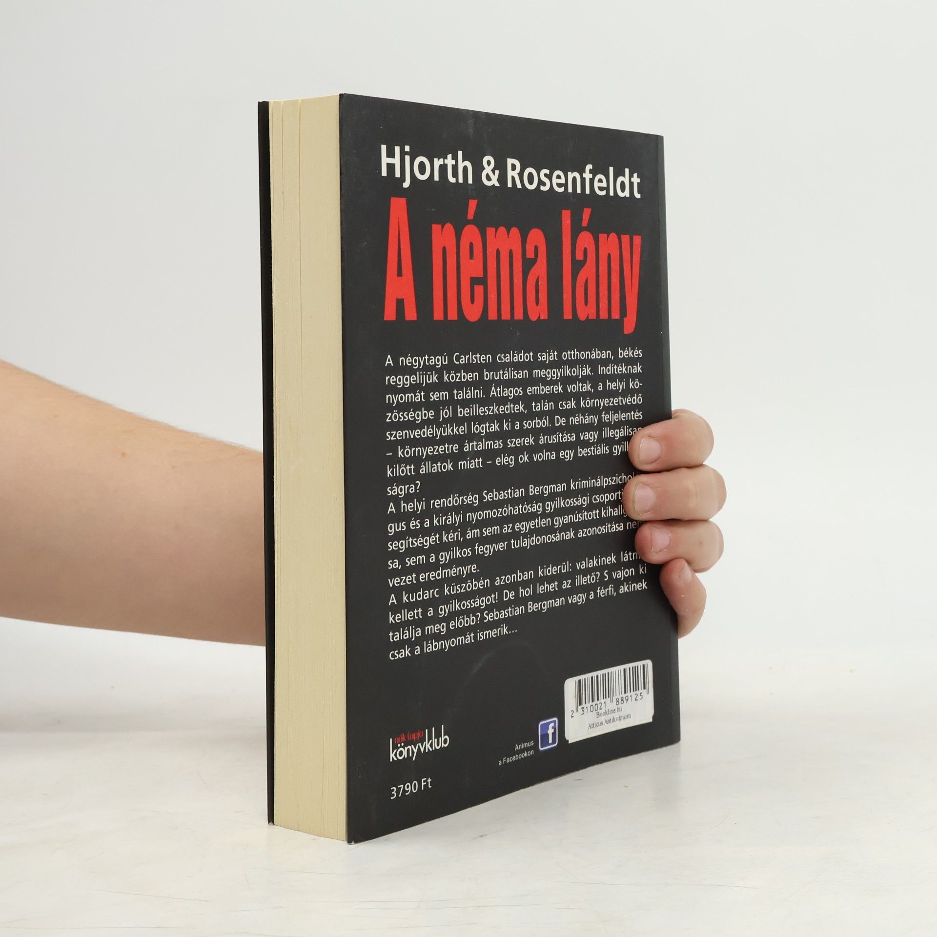 Hans Rosenfeldt A néma lány