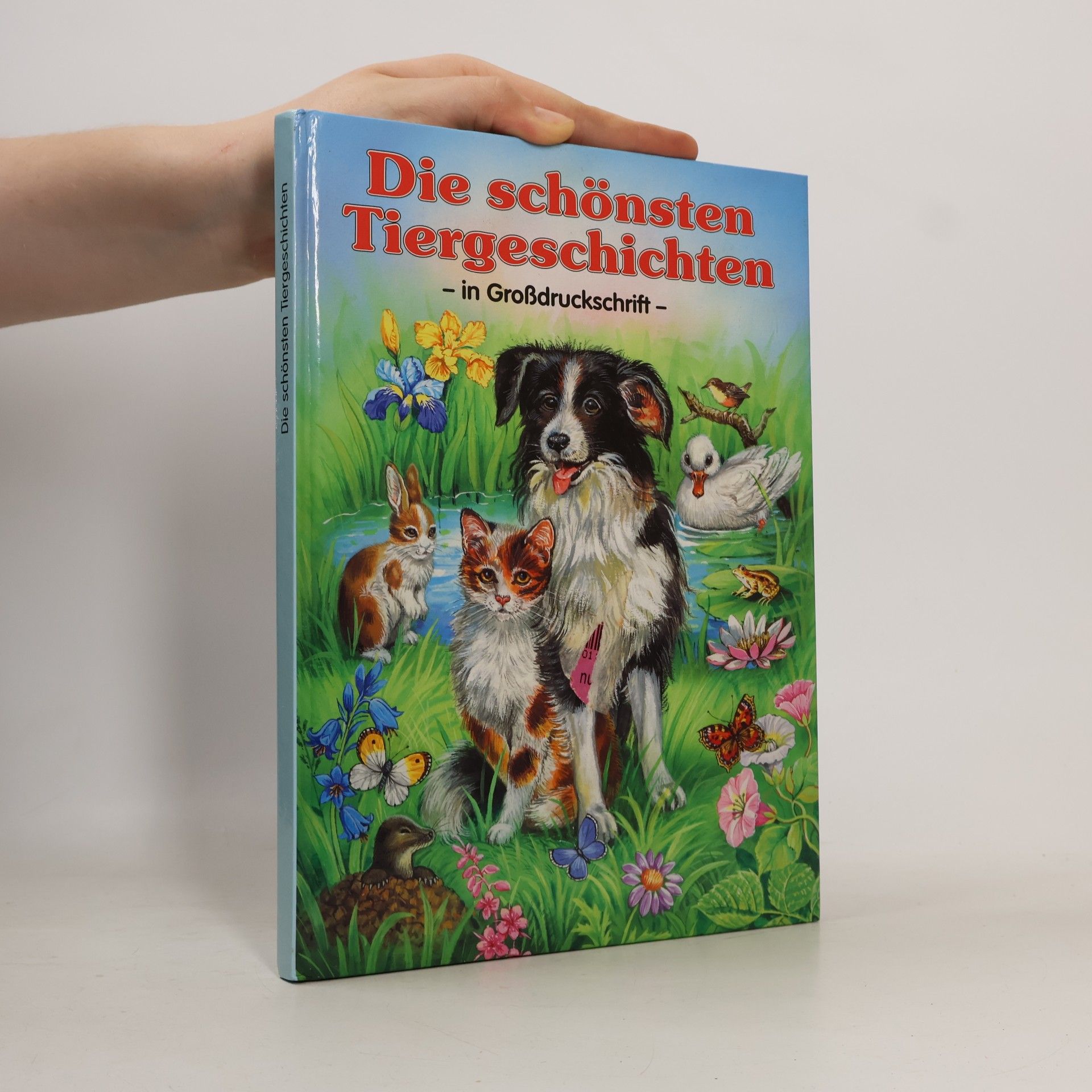 Katja Epes Die schönsten Tiergeschichten