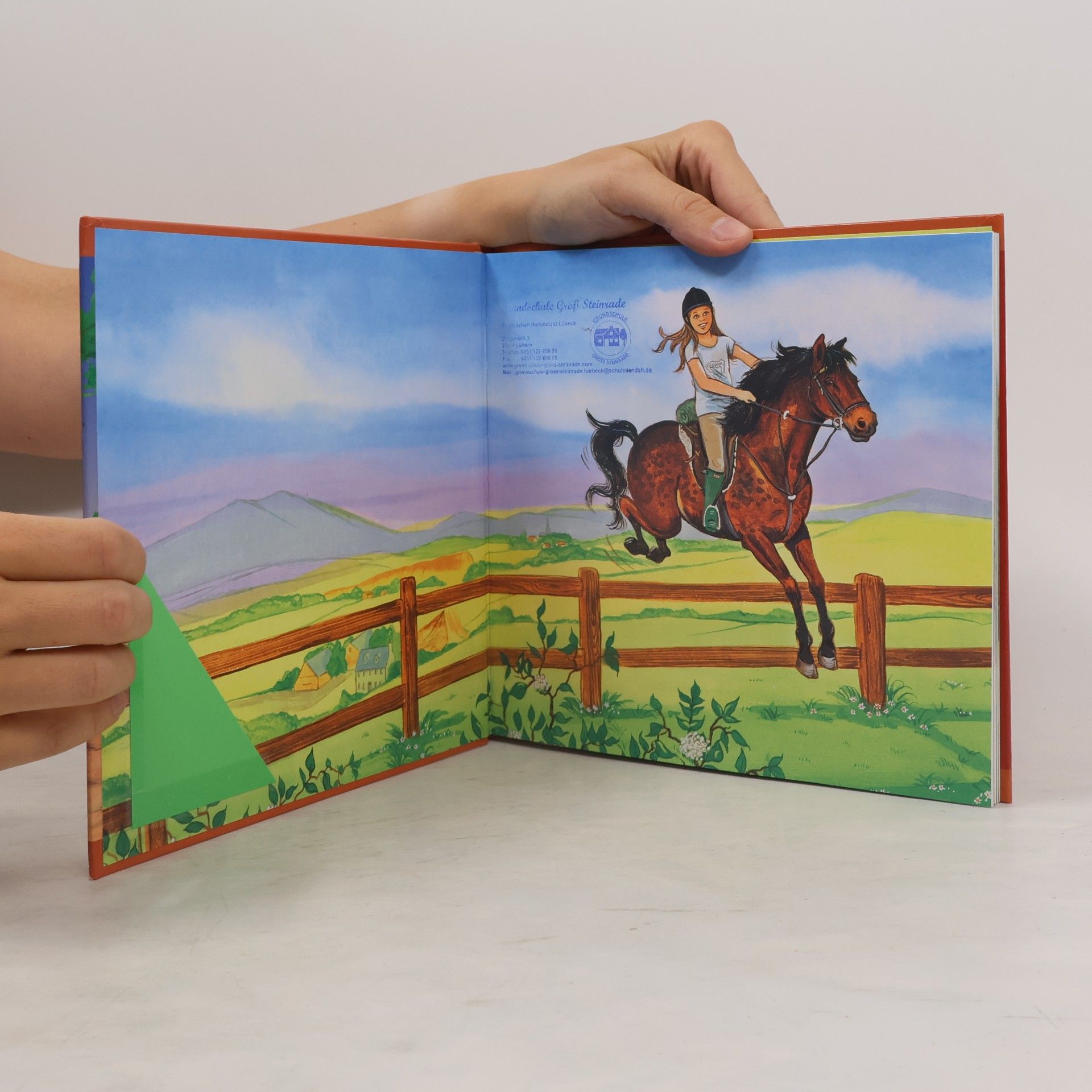 Jane Wardle Ponyabenteuer mit Anna und Prinz