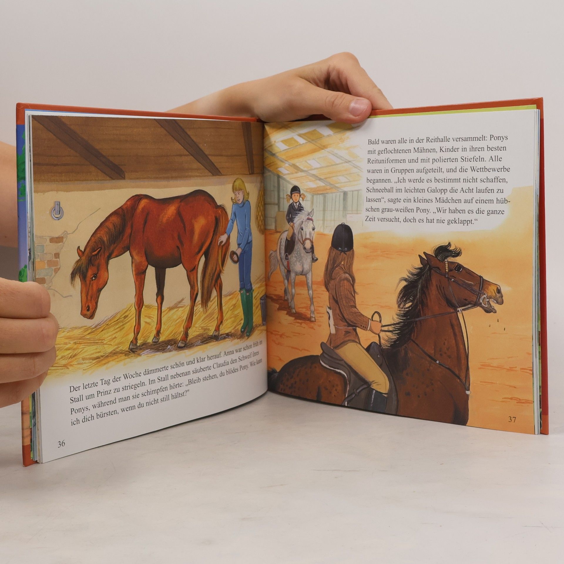 Jane Wardle Ponyabenteuer mit Anna und Prinz