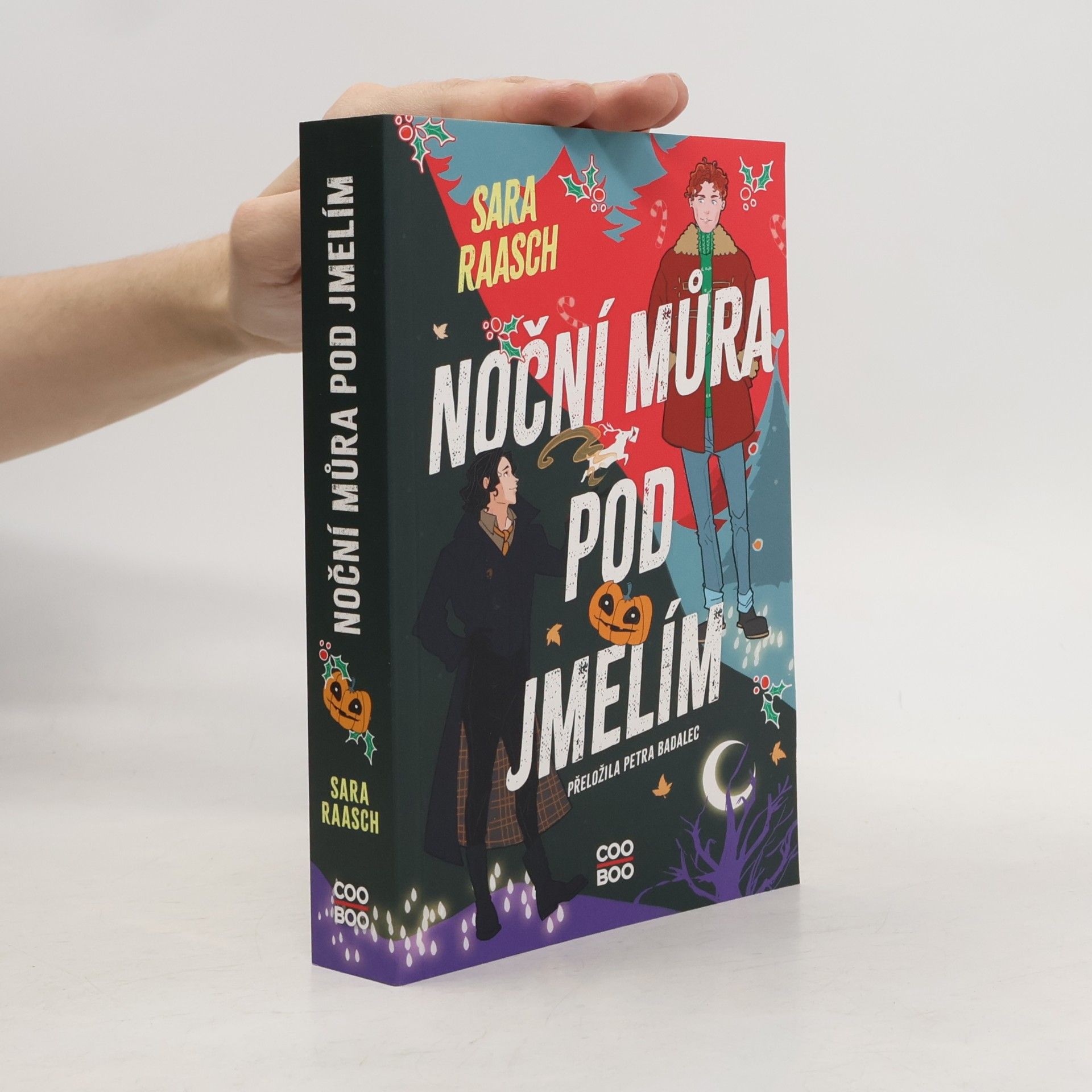 Sara Raasch Noční můra pod jmelím