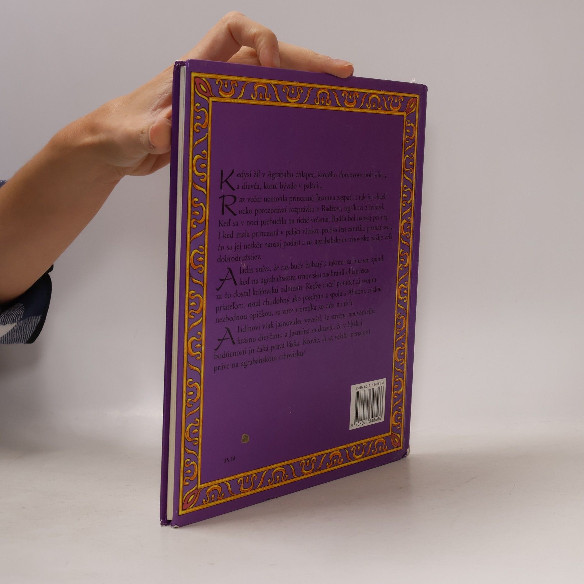Autorenkollektiv Aladin: rozprávky z Agrabahu
