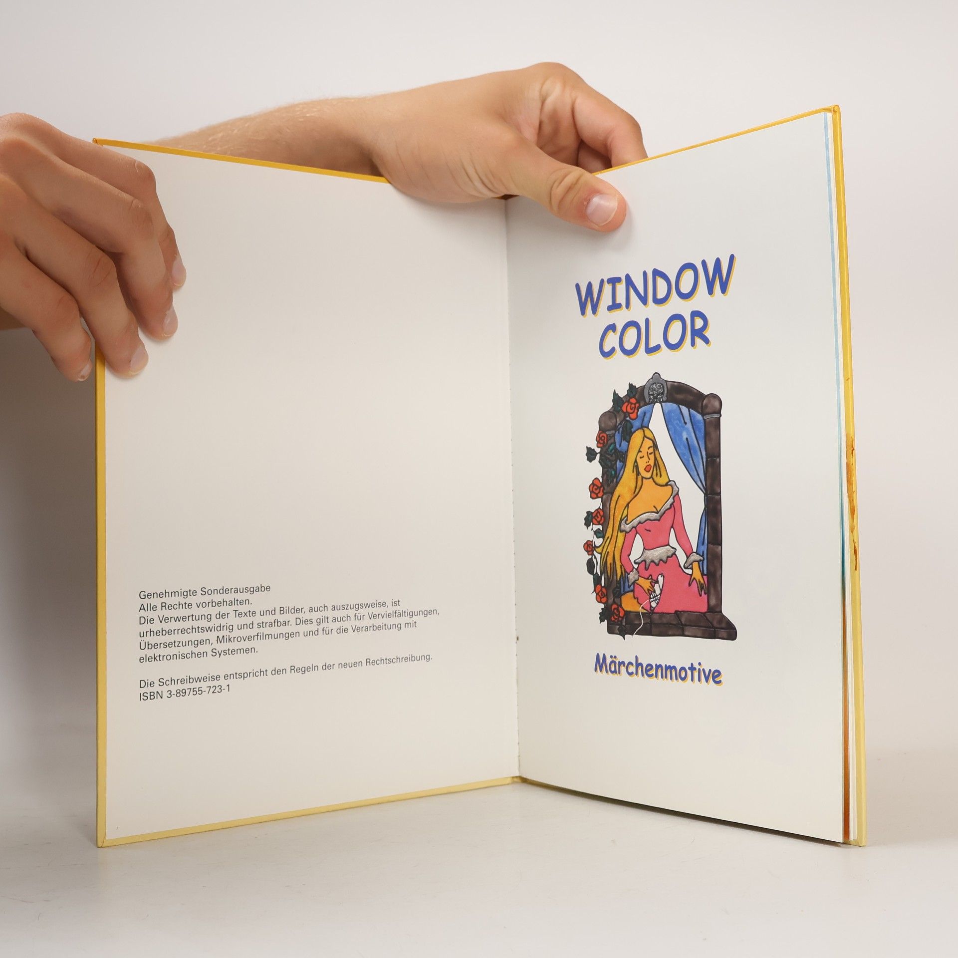 kolektiv Window color