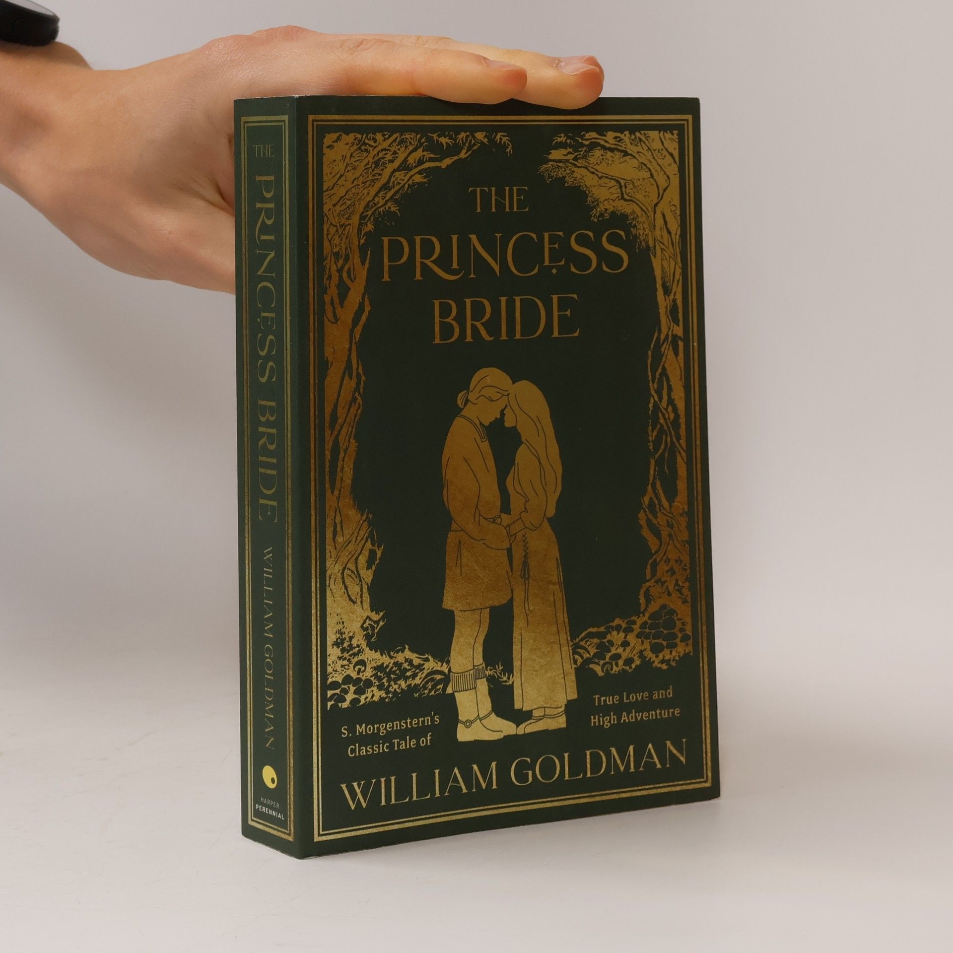 S. Morgenstern The Princess Bride