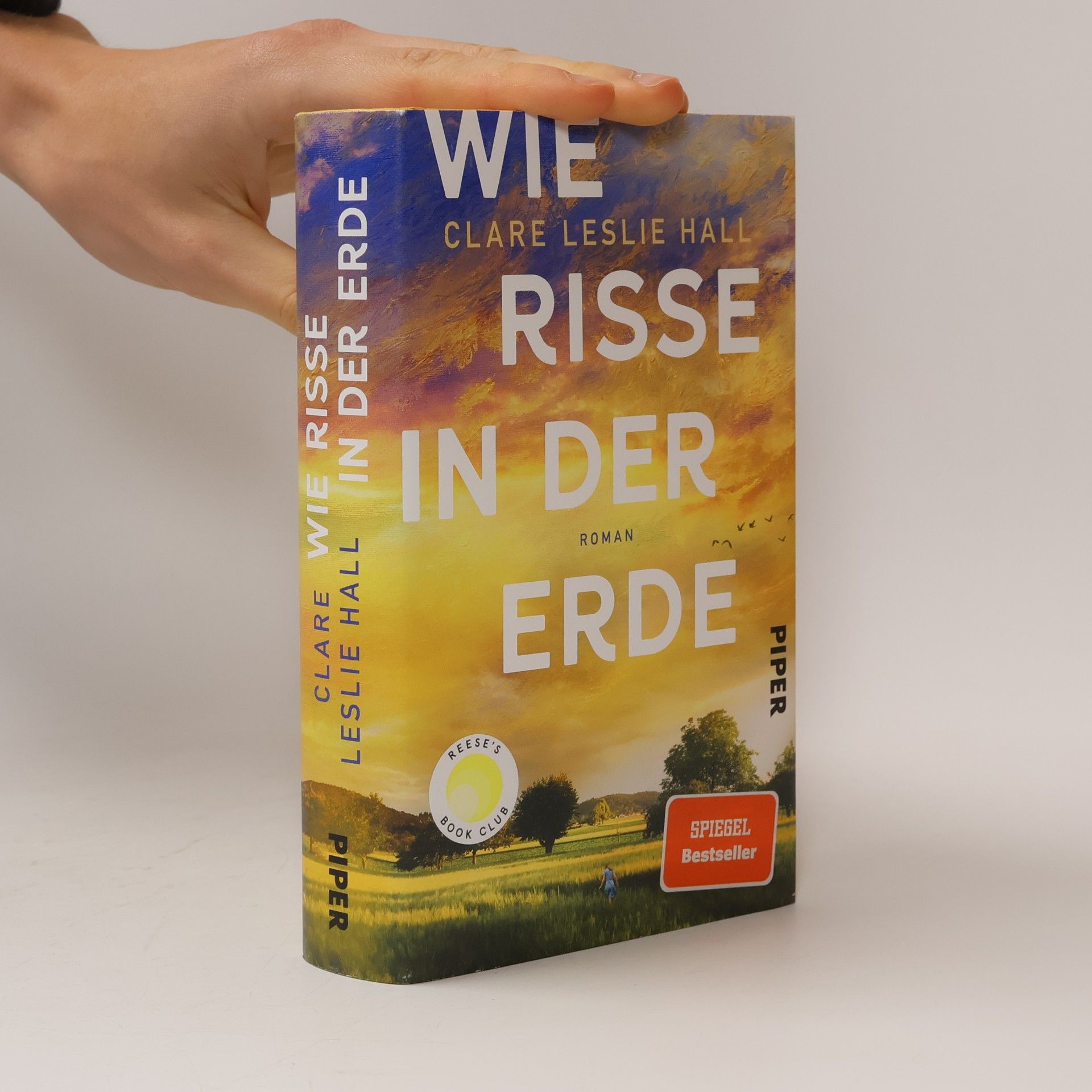 Clare Leslie Hall Wie Risse in der Erde